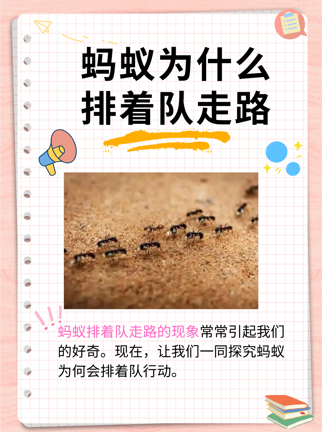 蚂蚁的行为背后蕴含着许多奥秘,了解它们的行为模式不仅能满足我们的