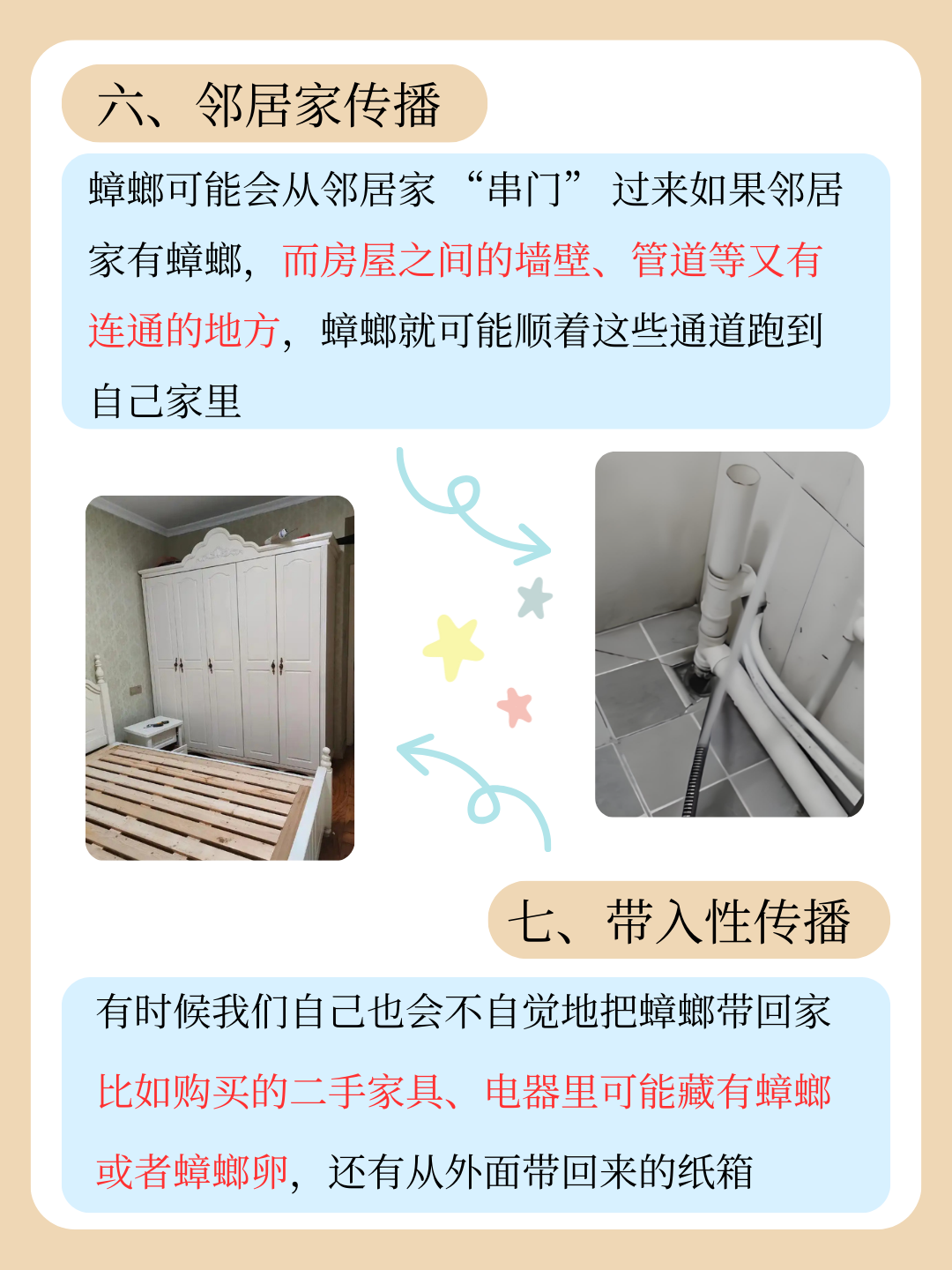 房间里为什么会有蟑螂出现为什么在线 房间里为什么会有蟑螂出现为什么在线