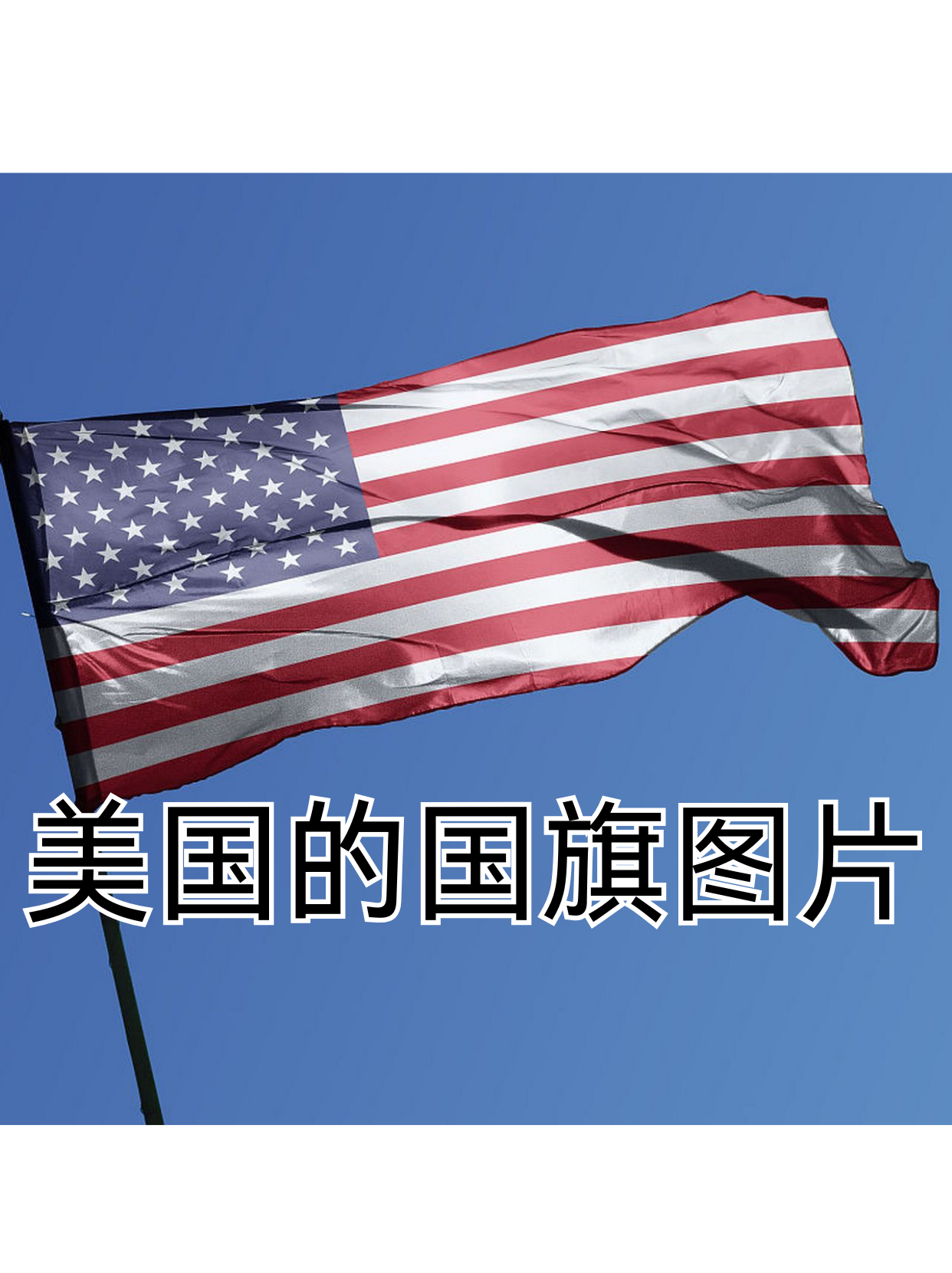 美国图片国旗美国的国旗图片美国旗帜图片usa国旗美国国旗长什么样
