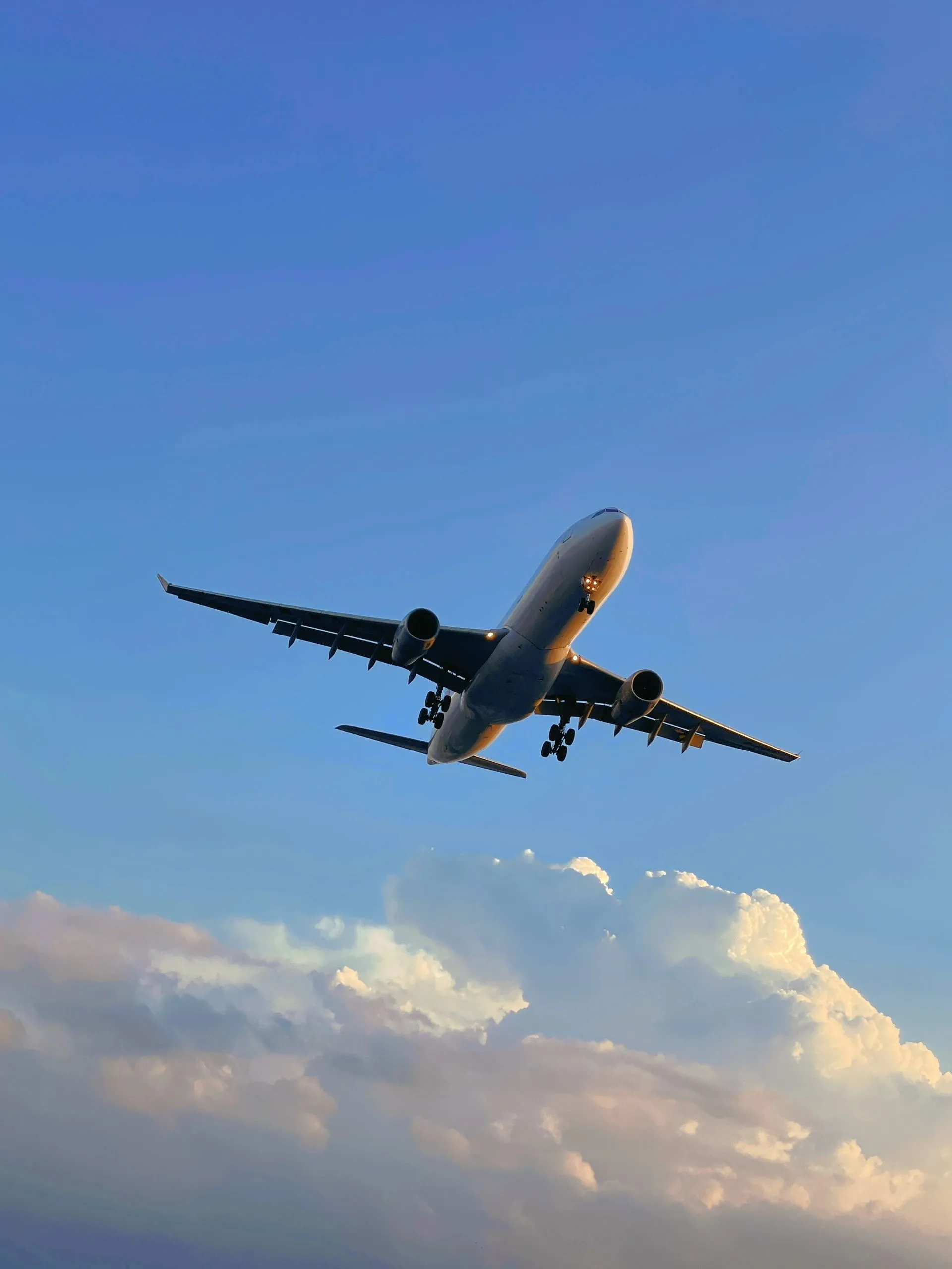 我一句废话没多说,悄悄买了回娘家的机票!