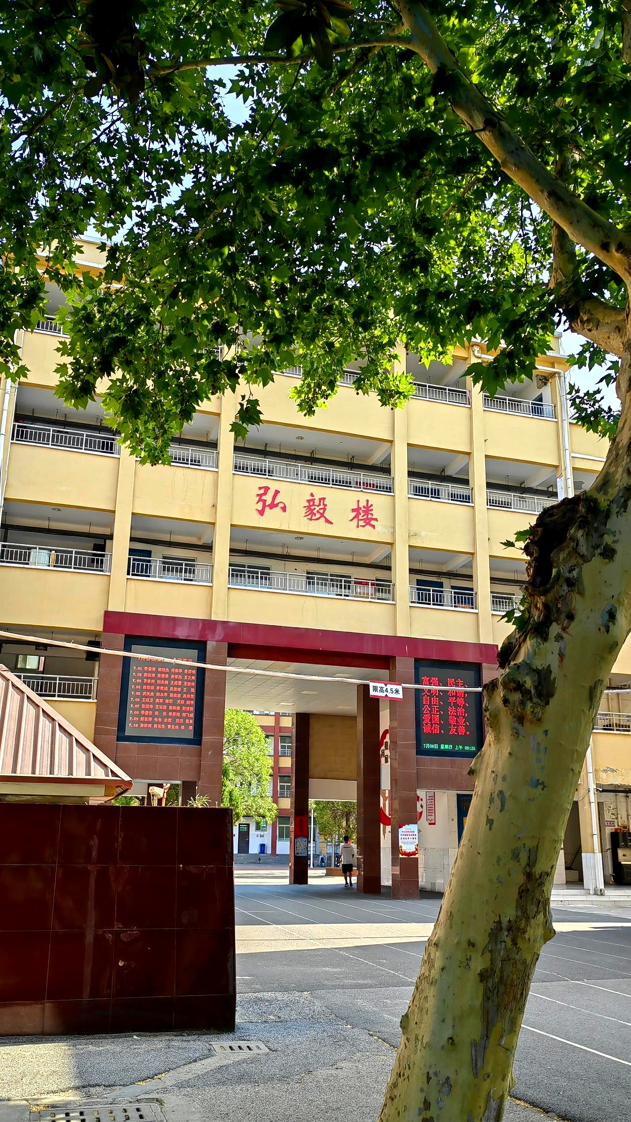 三年又一个轮回,我又开始带高一了