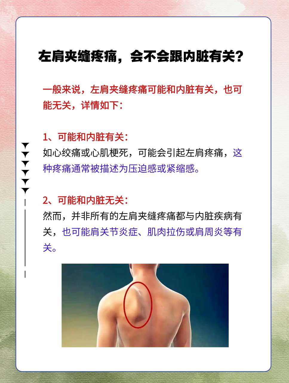 女人右肩胛骨痛要当心了为什么在线