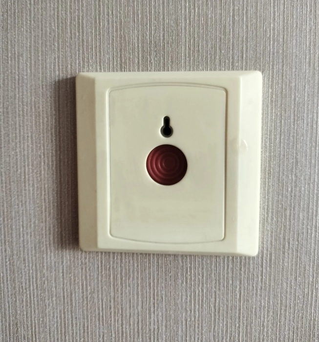 WG9918586001 Hazard Switch Front View