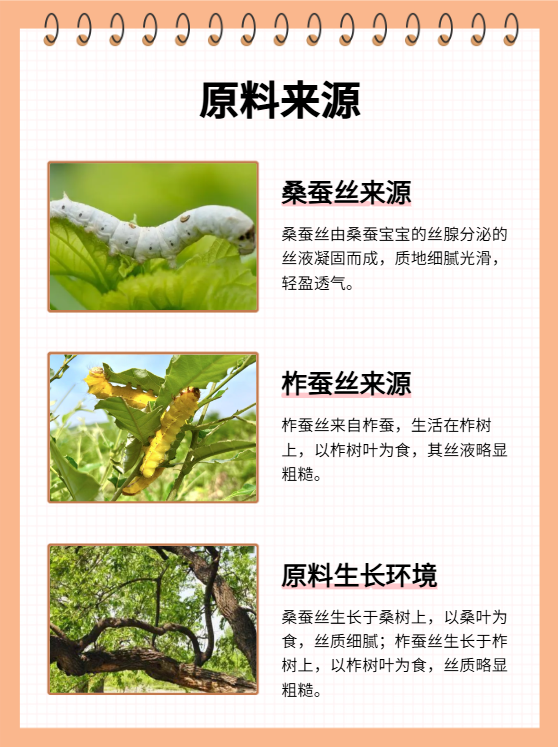 原料来源不同 桑蚕丝是由桑蚕宝宝的