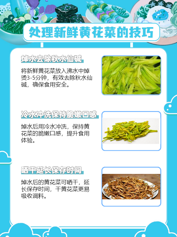 金针菜的作用与功效图片