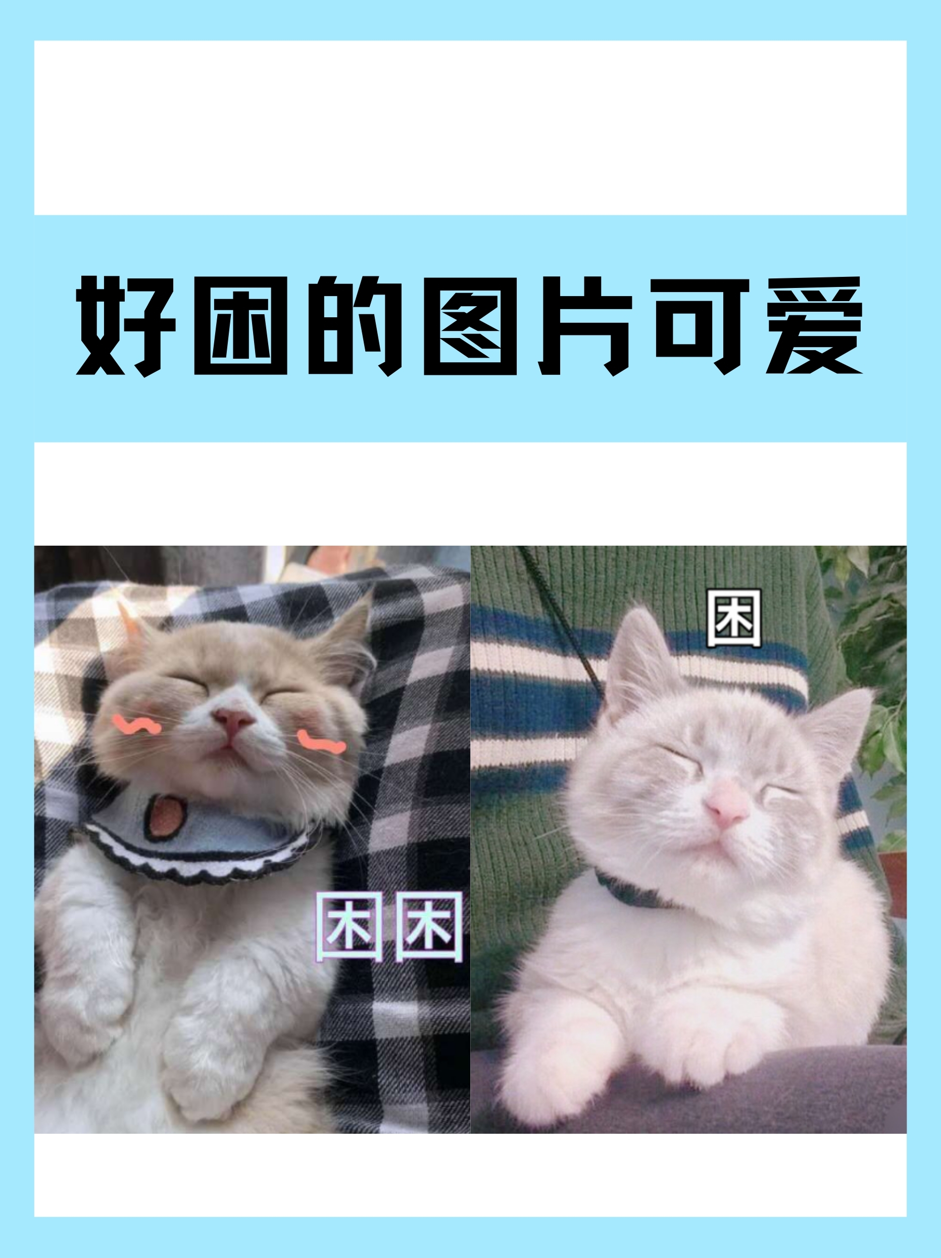 夜幕低垂,星星都开始眨巴眼睛了,我却像是被温柔的