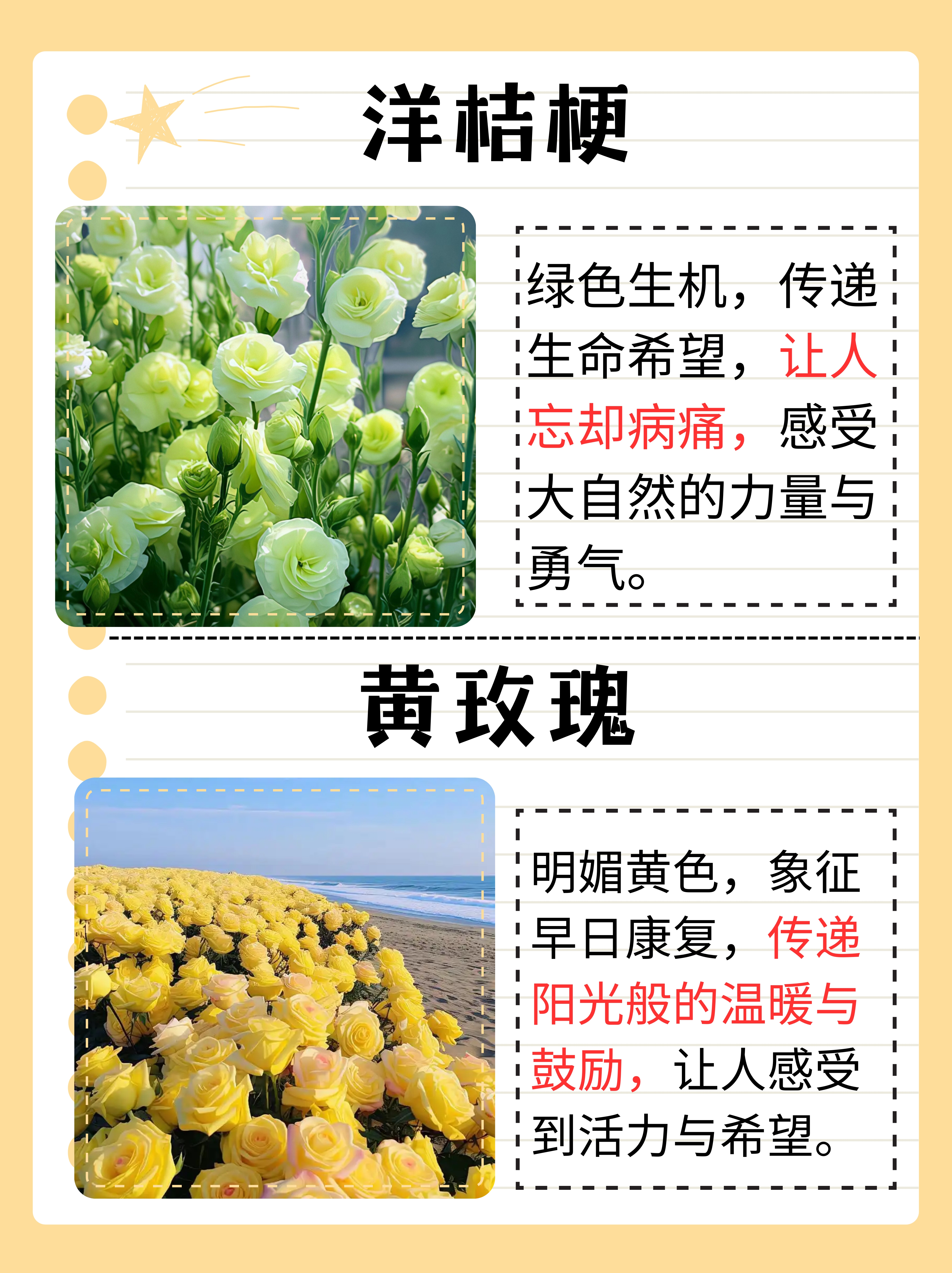 但你知道吗?不同的花有着不同的寓意和适合的场景哦