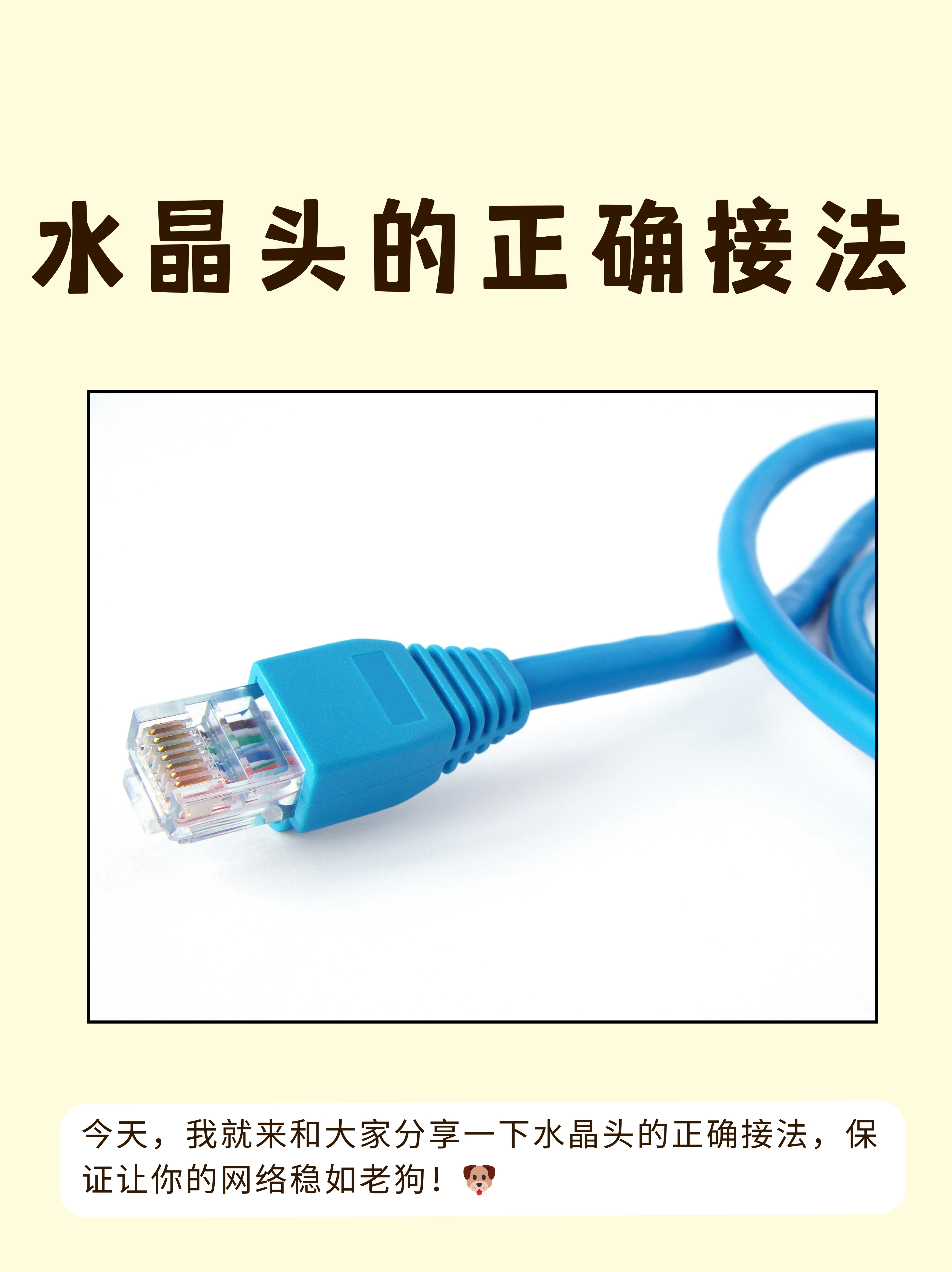 它看起来晶莹剔透就像个小水晶一样但其实里面可是藏着不少门道的