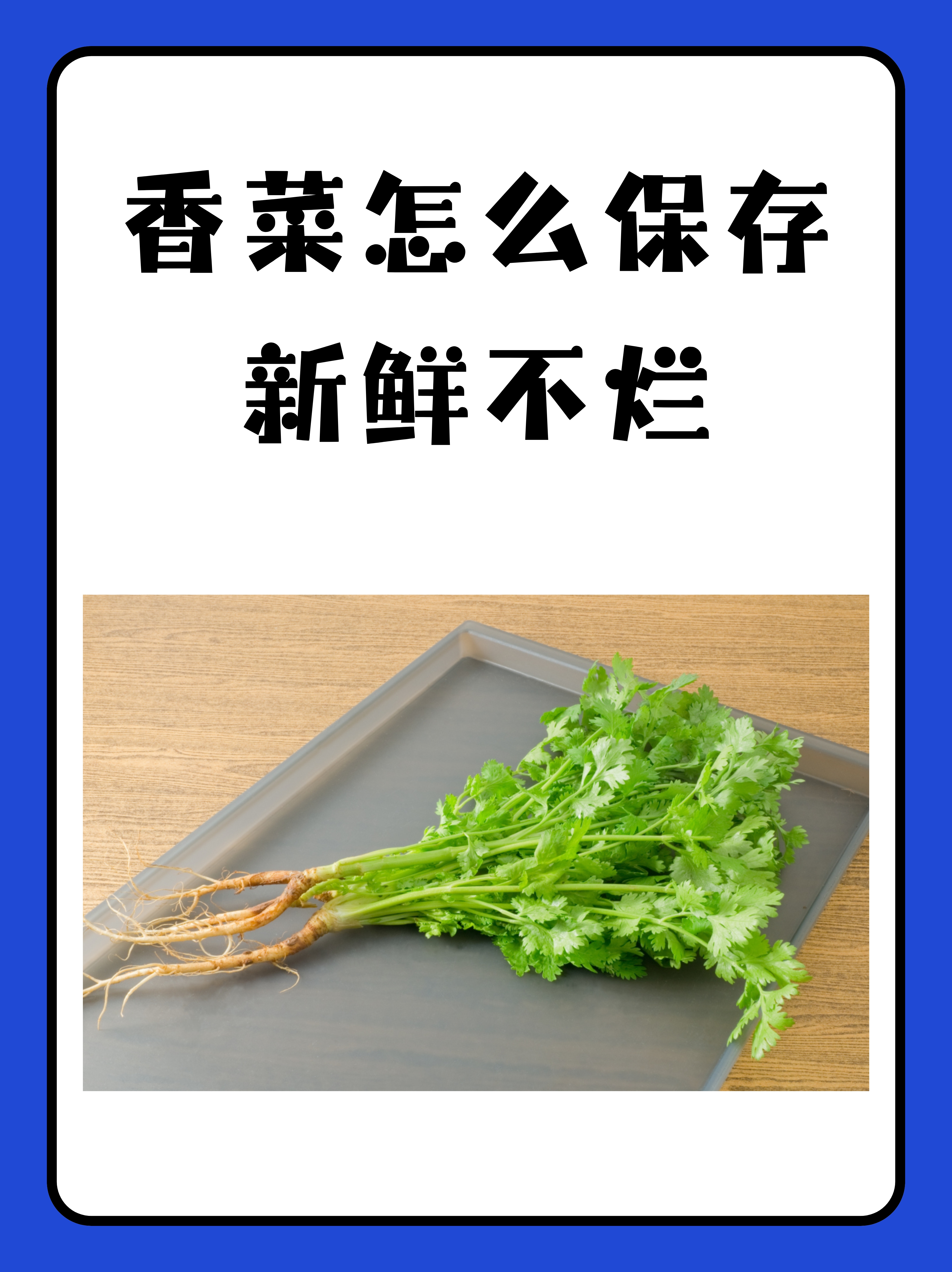 香菜为什么叫断阳草 香菜为什么叫断阳草