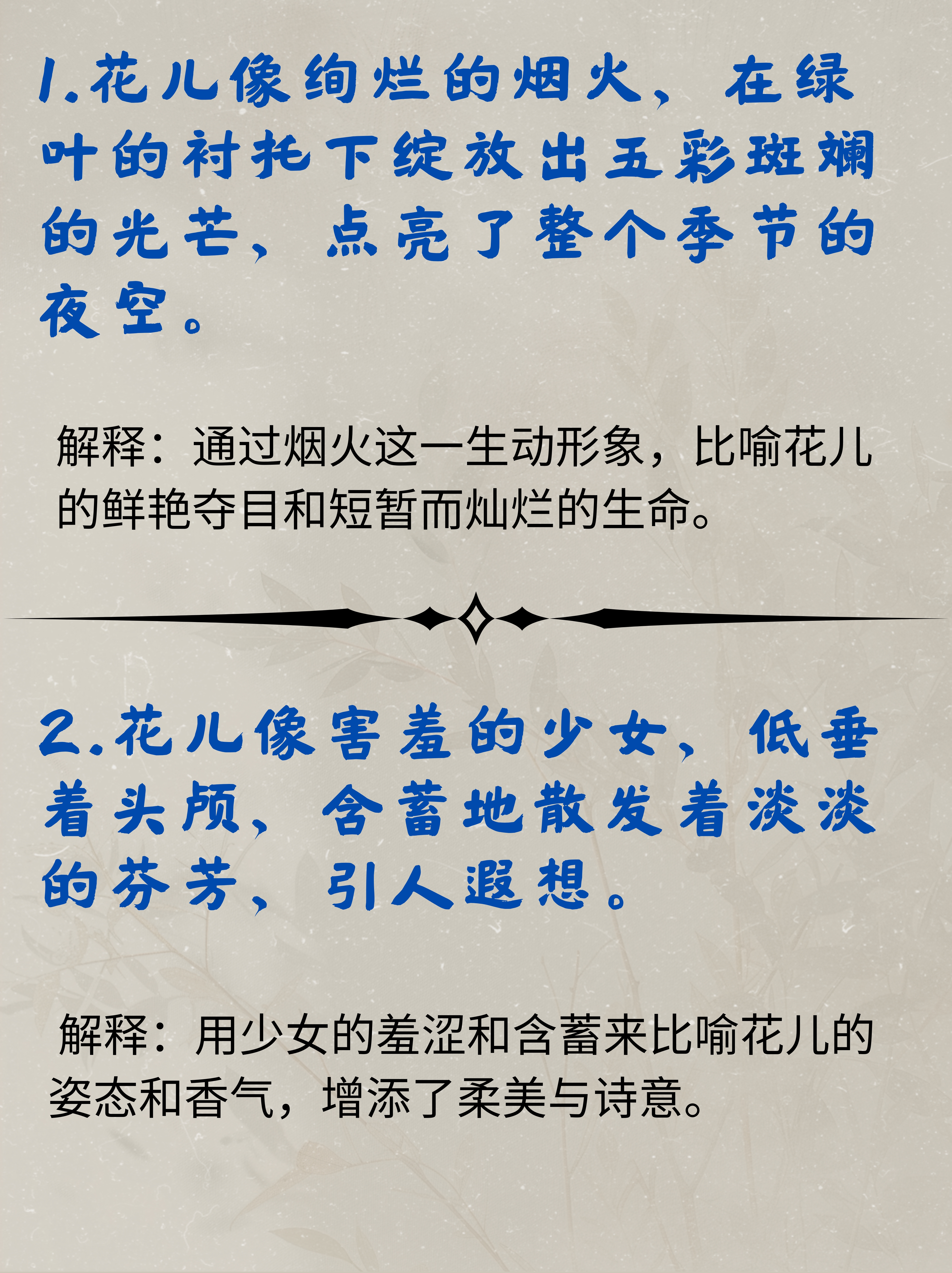花儿像绚烂的烟火,在绿叶的衬托下绽放出五彩斑斓的