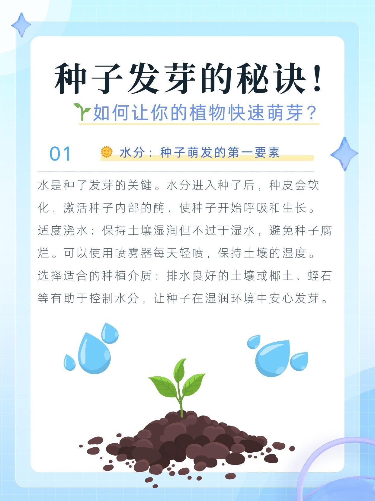 今天就来跟大家分享种子发芽需要的几个关