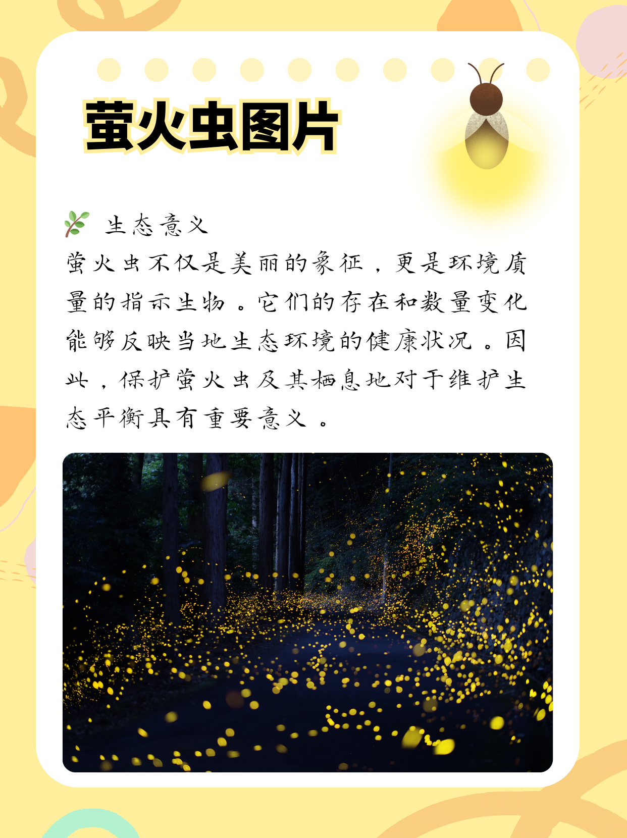 萤火虫简介  萤火虫,自然界中的小小发光体,以其独特的