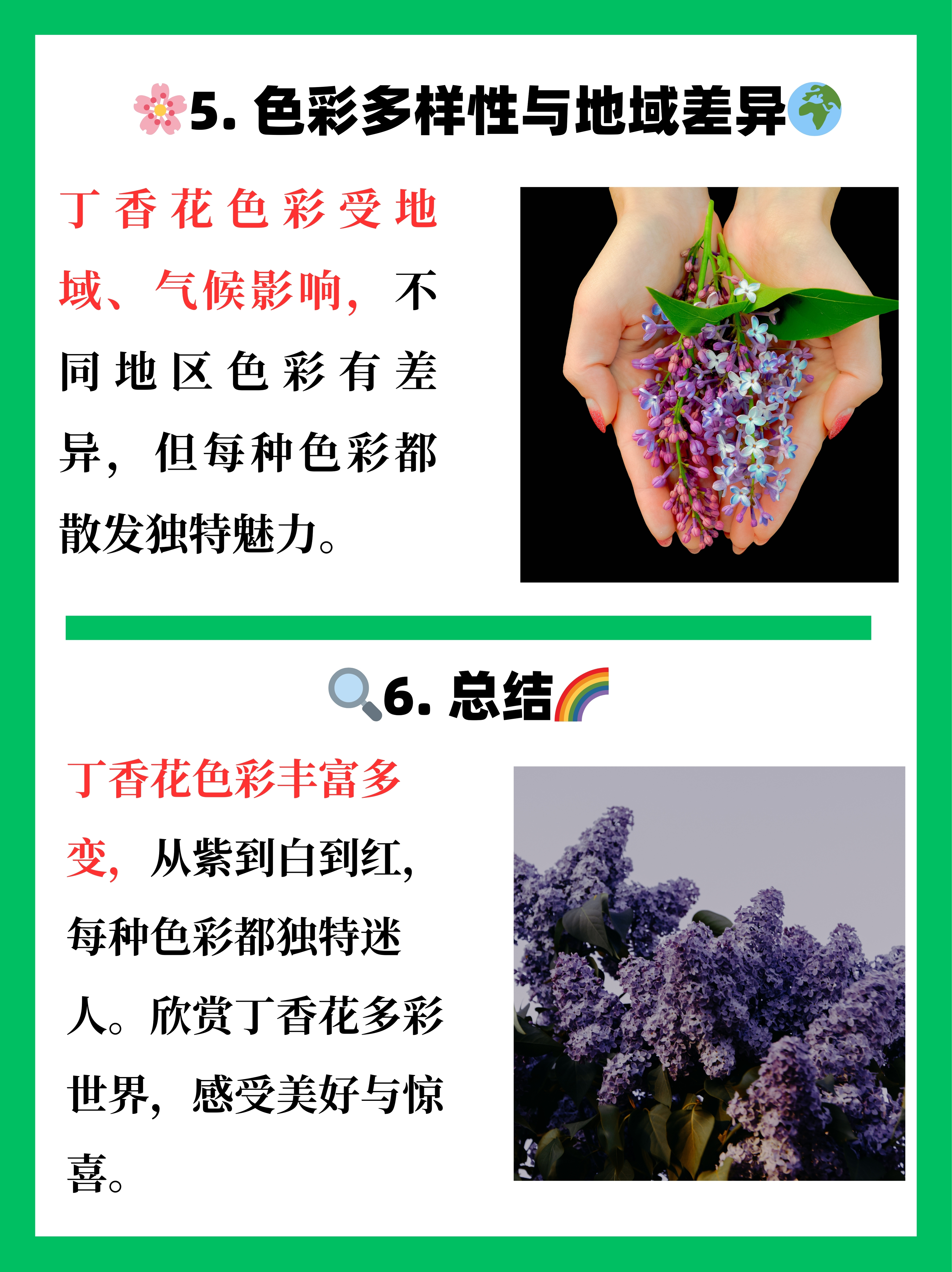 丁香花的样子具体描写图片