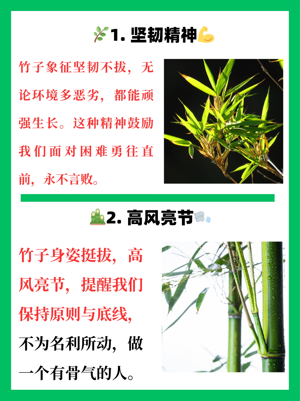 🌿竹子,自古以来便是坚韧不拔的象征