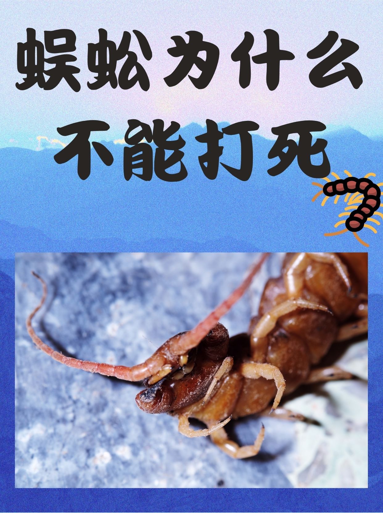 蜈蚣为什么不能打死
