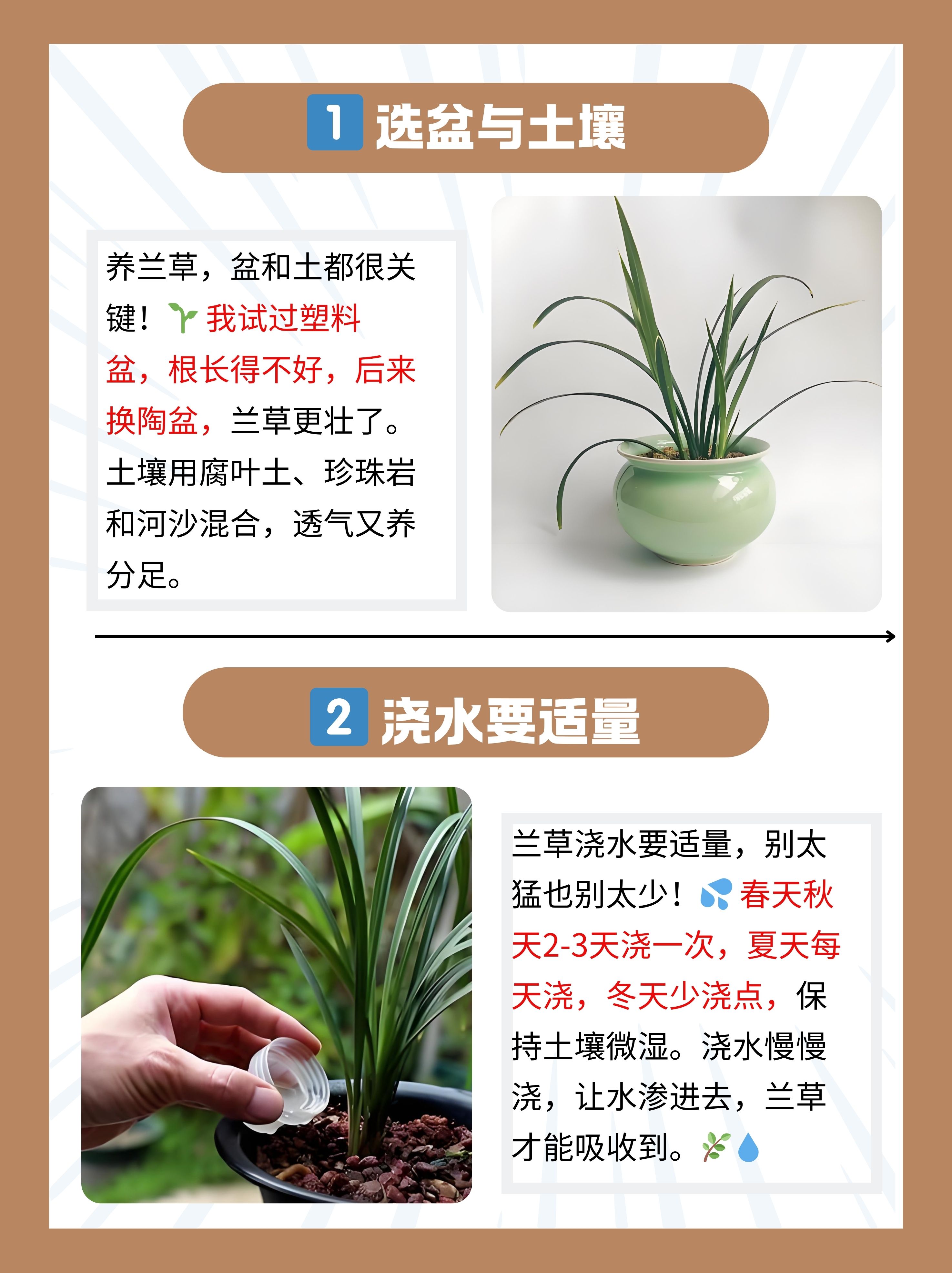 所以啊,我就想把我的养殖经验分享给你们,让 兰花的养殖方法蓝花草有