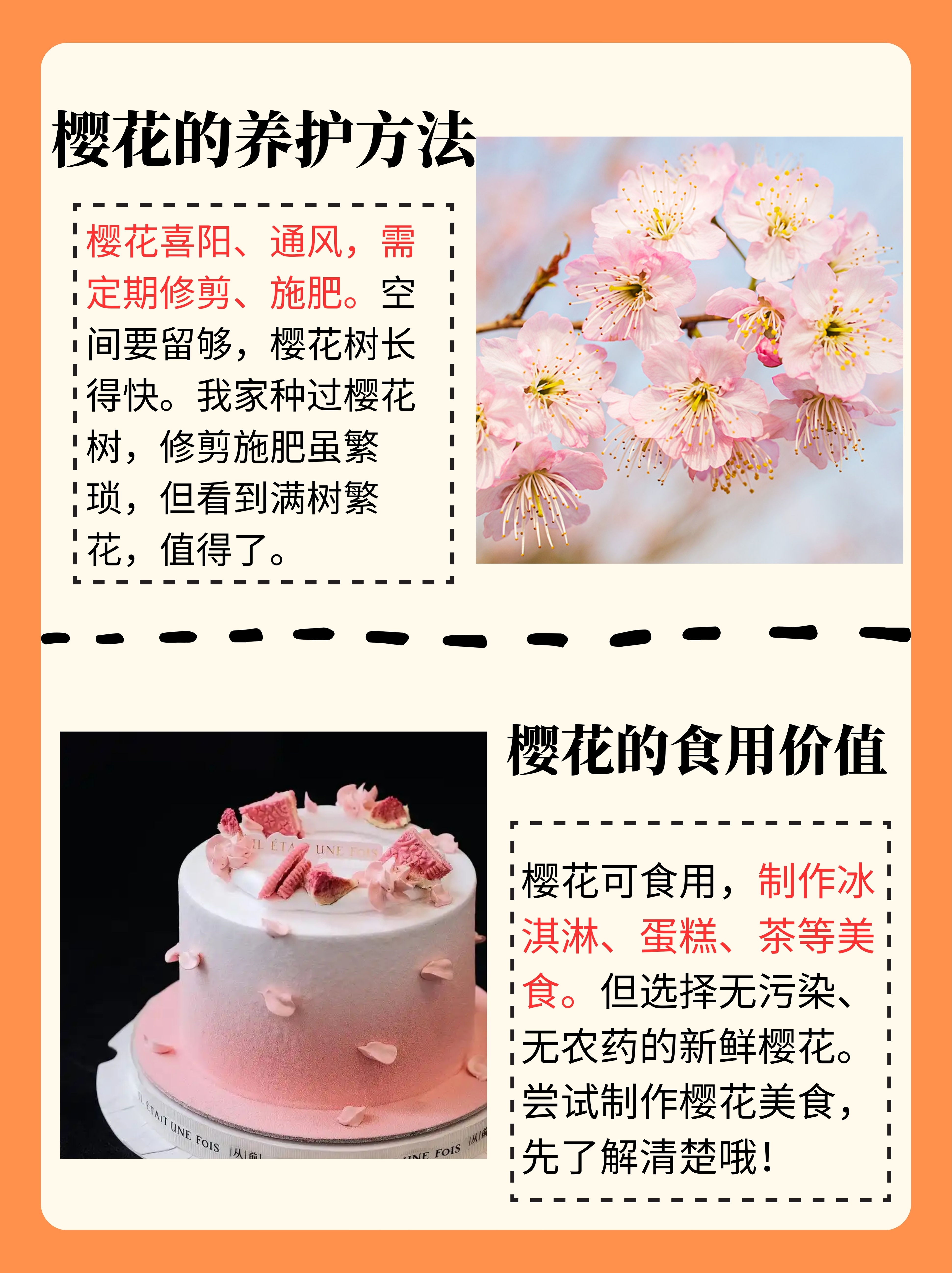 嘿,小伙伴们,今天咱们来聊聊樱花什么时候开花这件