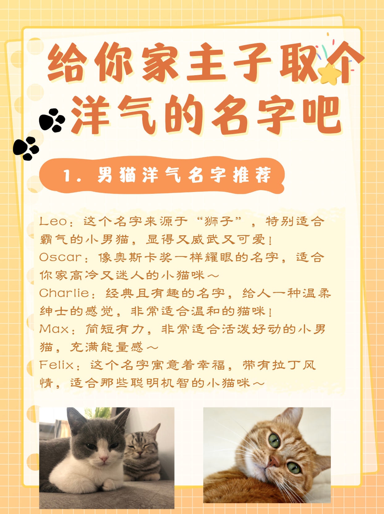 猫牌留言大全图片