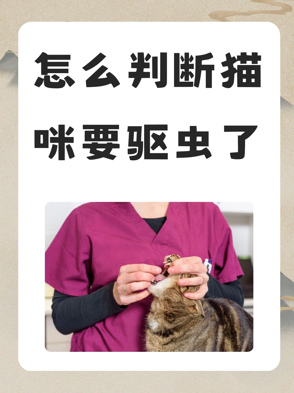 猫姜片吸虫图片