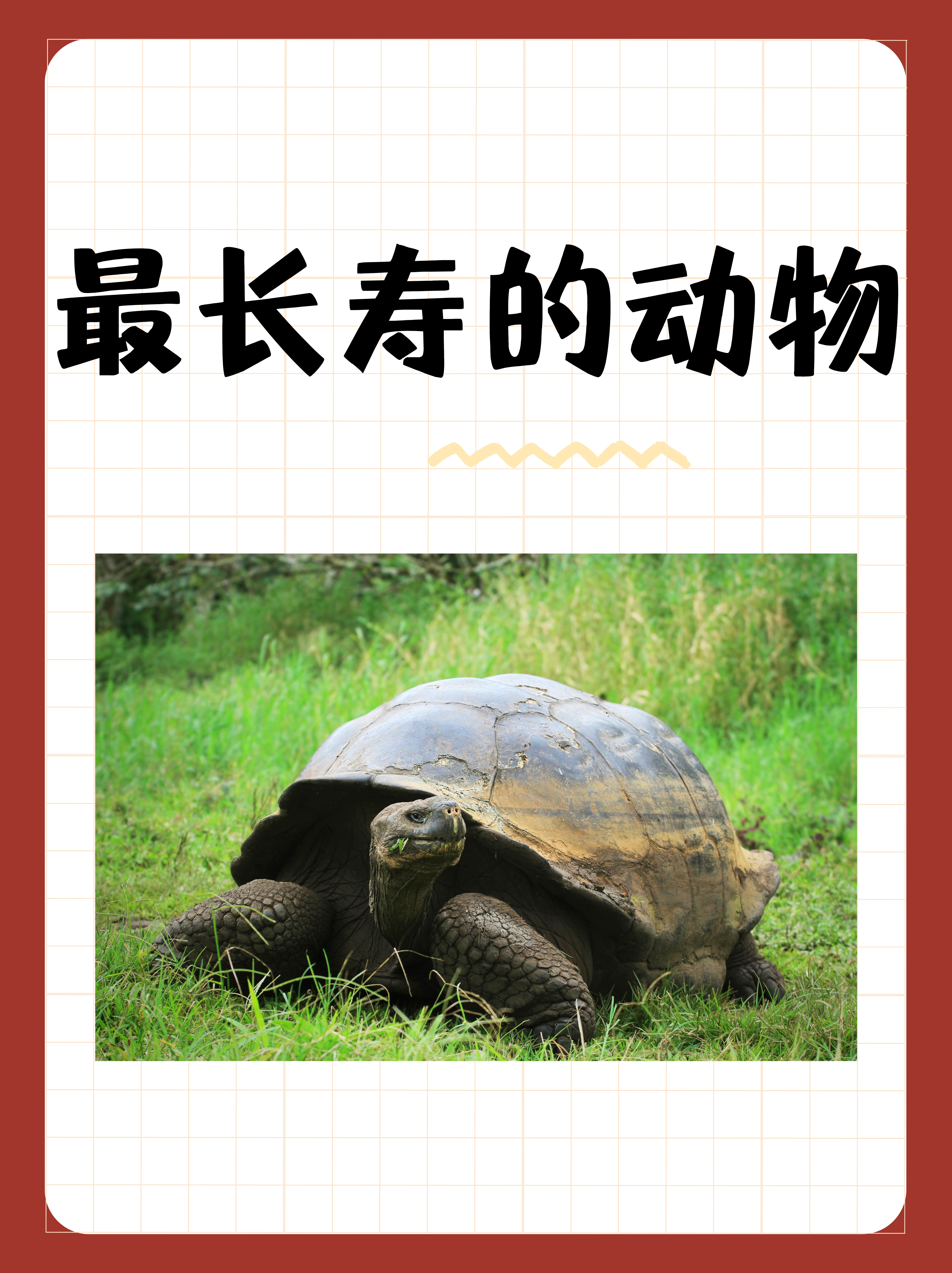 世界最长寿的五种动物