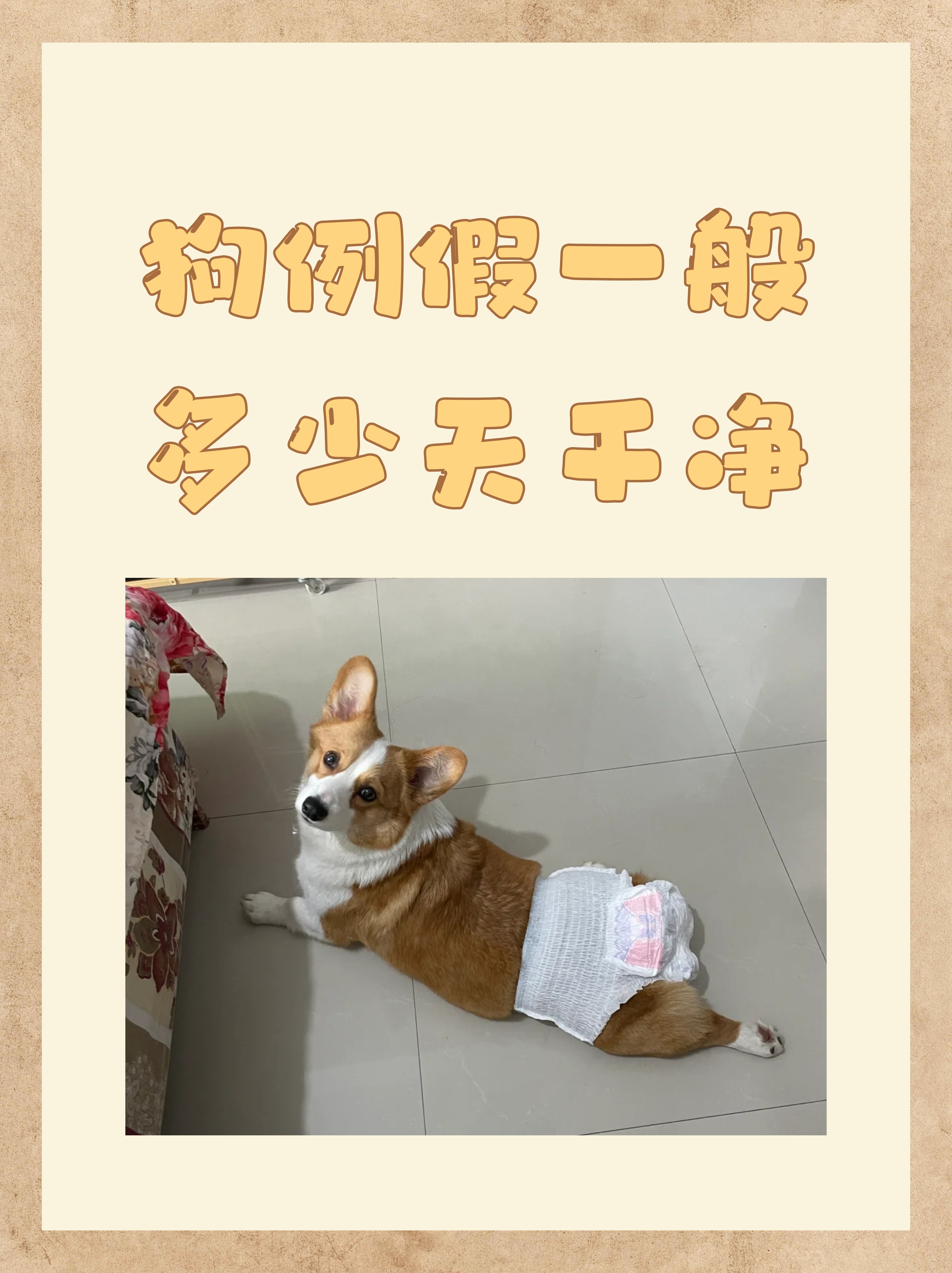 为死去的狗狗超度-普通人可以给狗狗超度吗