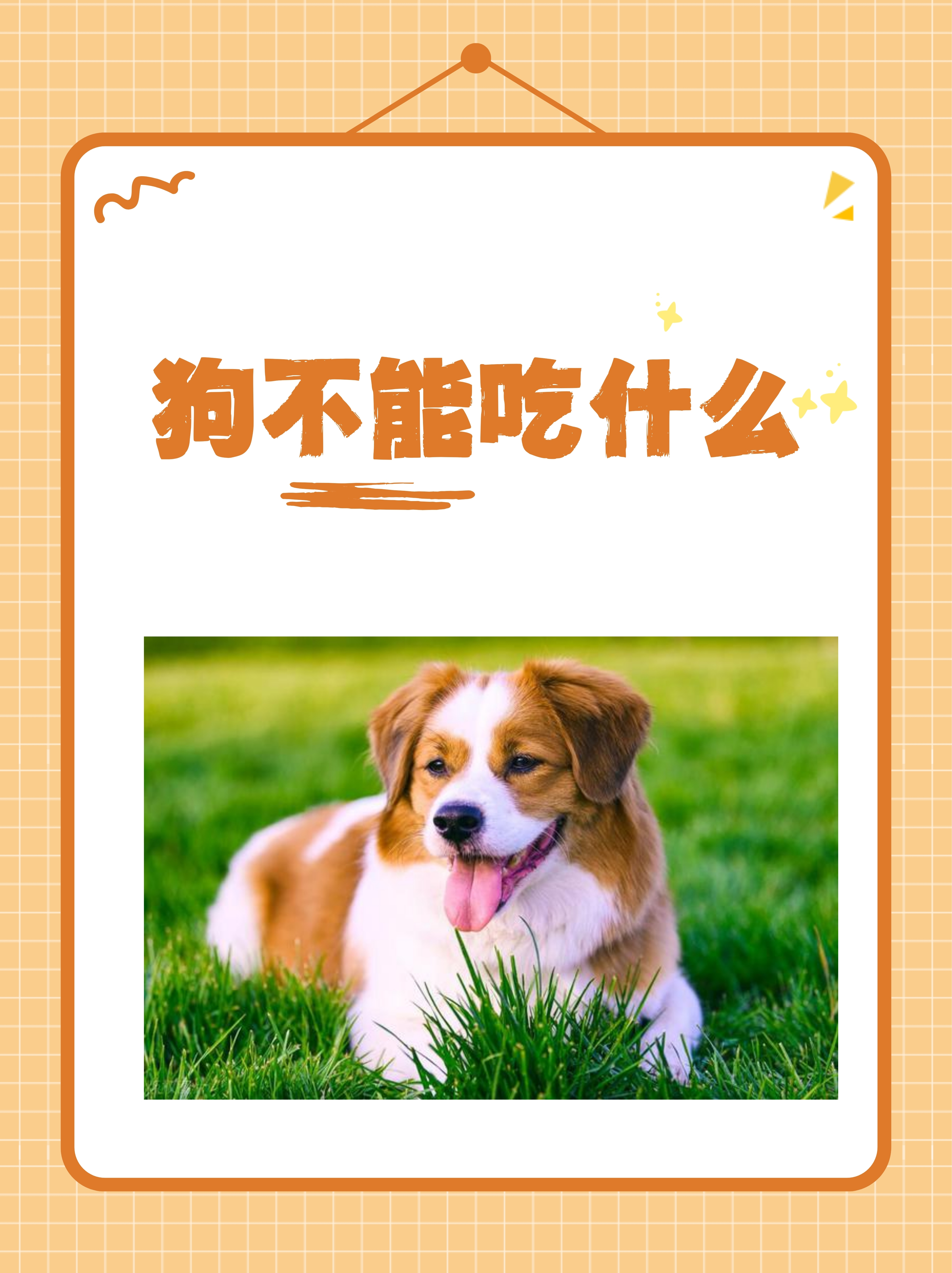 土狗几天不吃东西怎么了百科在线