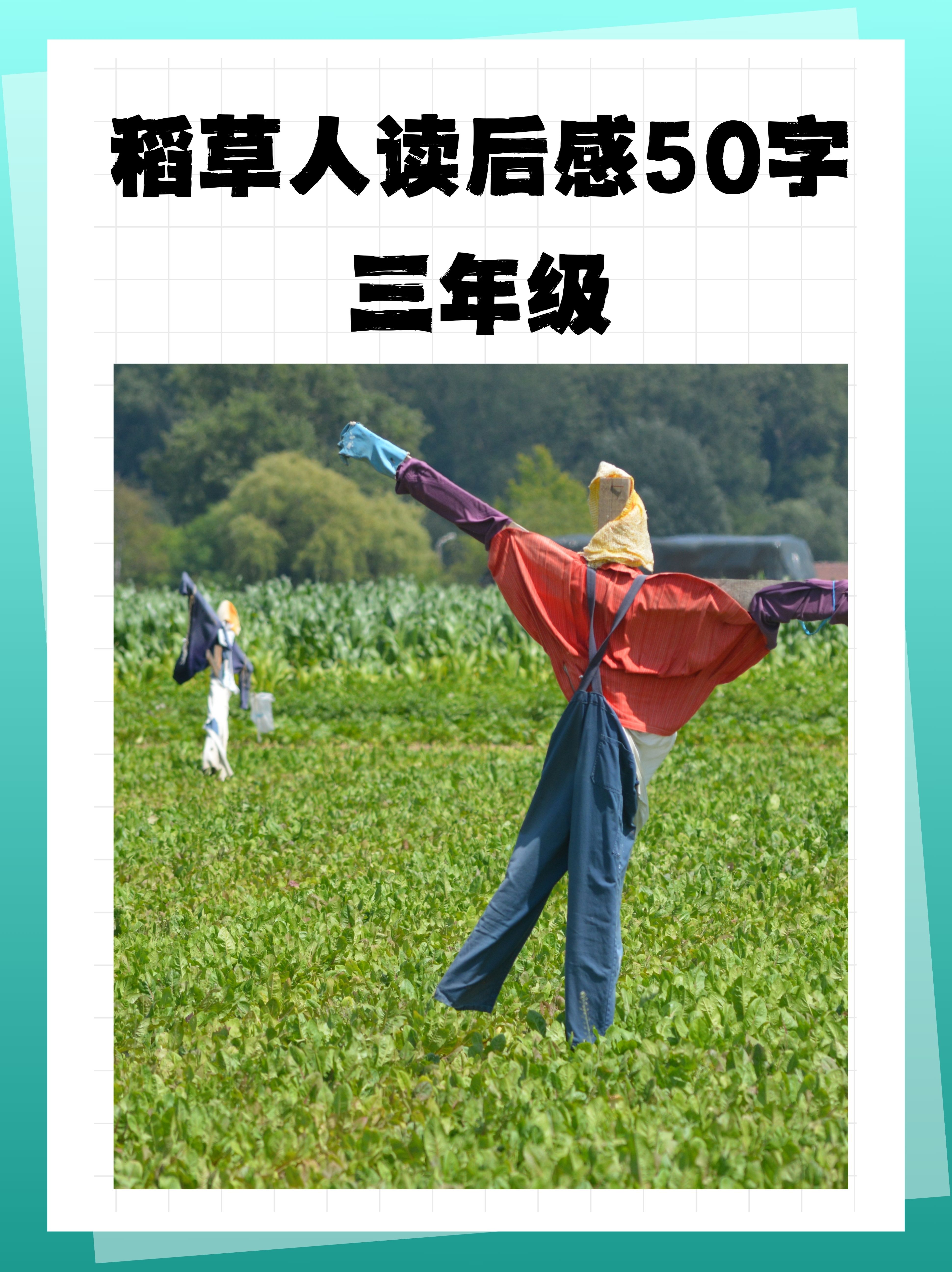 我也要做个善良的人,帮助需要的人.  2.《稻草人