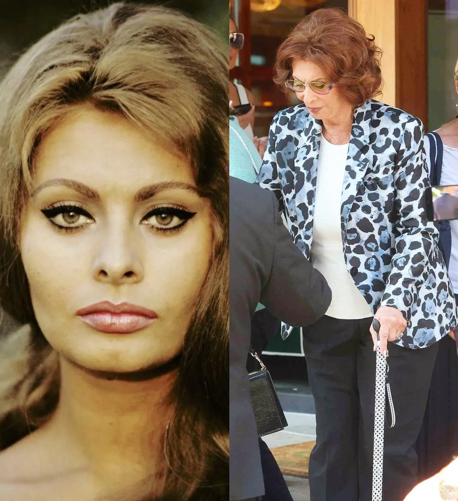 89岁的索菲亚·罗兰去年摔跤后第一次外出,拄着一根黑白相间的带斑点