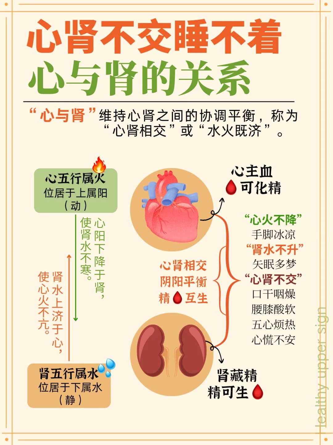 "心肾不交"指的是心肾之间失去平衡了 心肾之间存在着密切的关系: 心