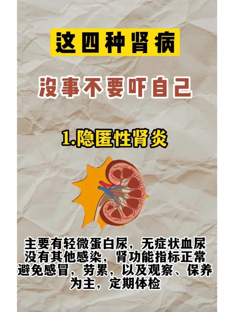 隐匿性肾炎 主要有轻微蛋白尿,无症状血尿,没有其他感染,肾功能指标