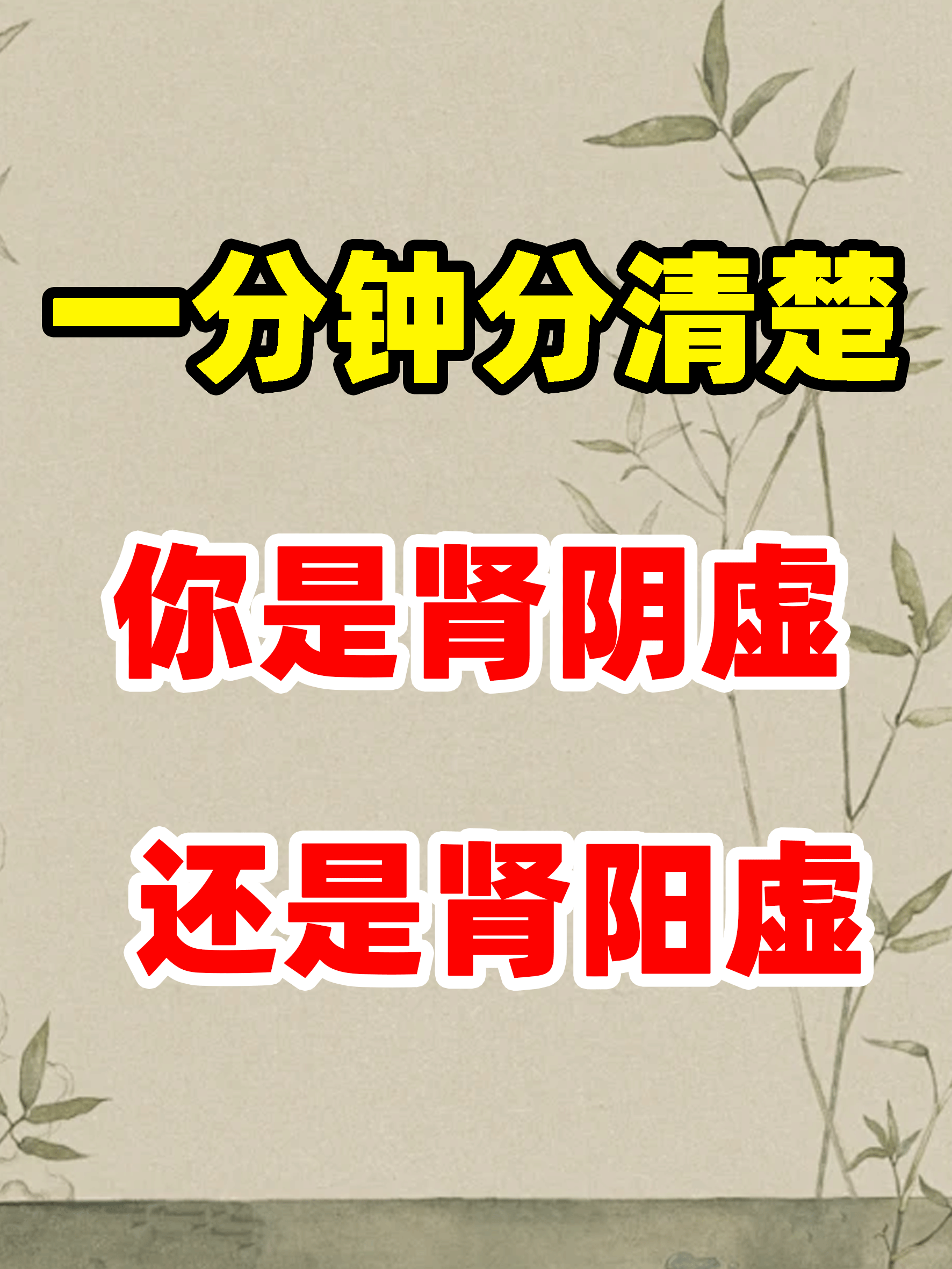 关于肾阳虚和肾阴虚可以一起补吗?的信息