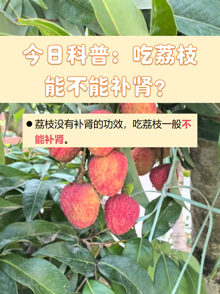 为什么吃荔枝会上火
