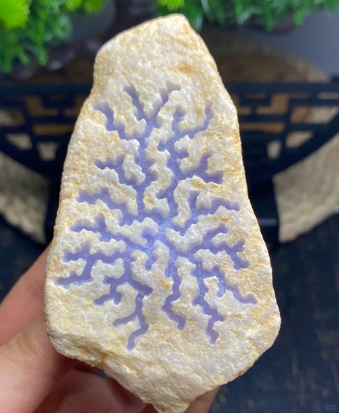 昨天在直播间看人压灯赌石差点笑yue了 有个老哥举着强光手电怼着石头