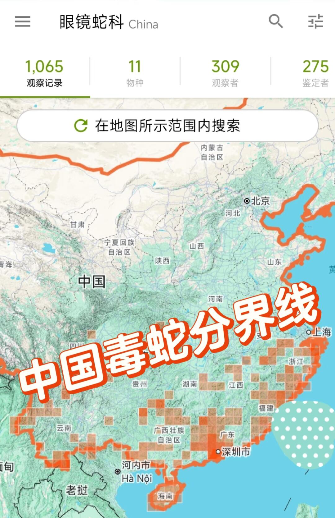 长江以南眼镜王蛇分布在中国哪些地方眼镜王蛇分布中国眼镜蛇分布图