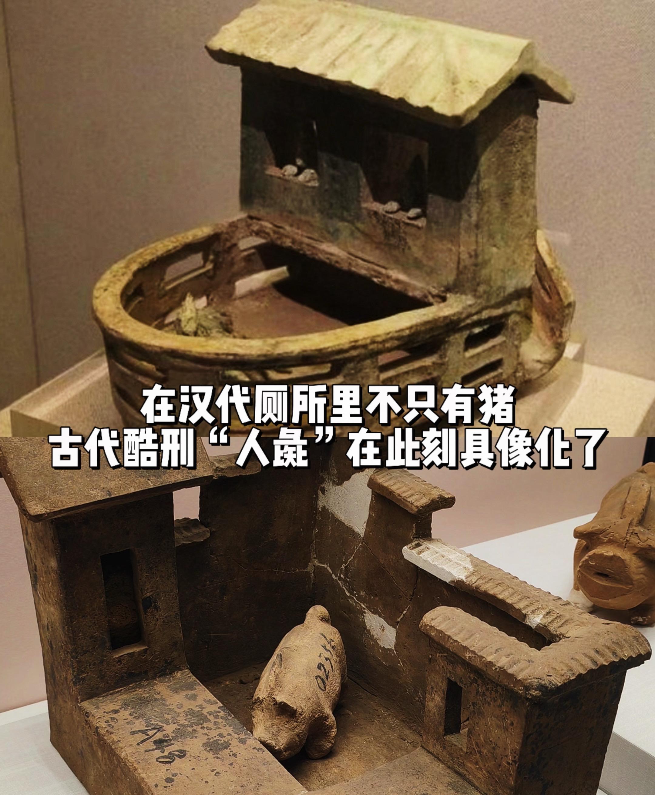汉代猪厕虽先进分男女区表面文明实则掩盖血腥酷刑内幕