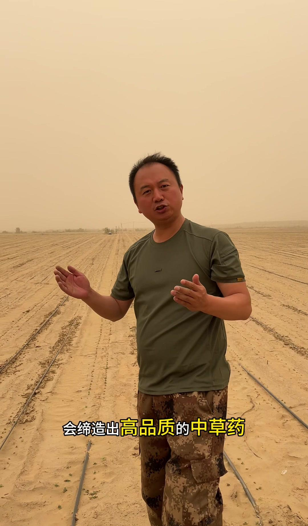 干枯的黄沙中,一株株嫩绿的草芽破土而出,仿佛在向烈日宣战