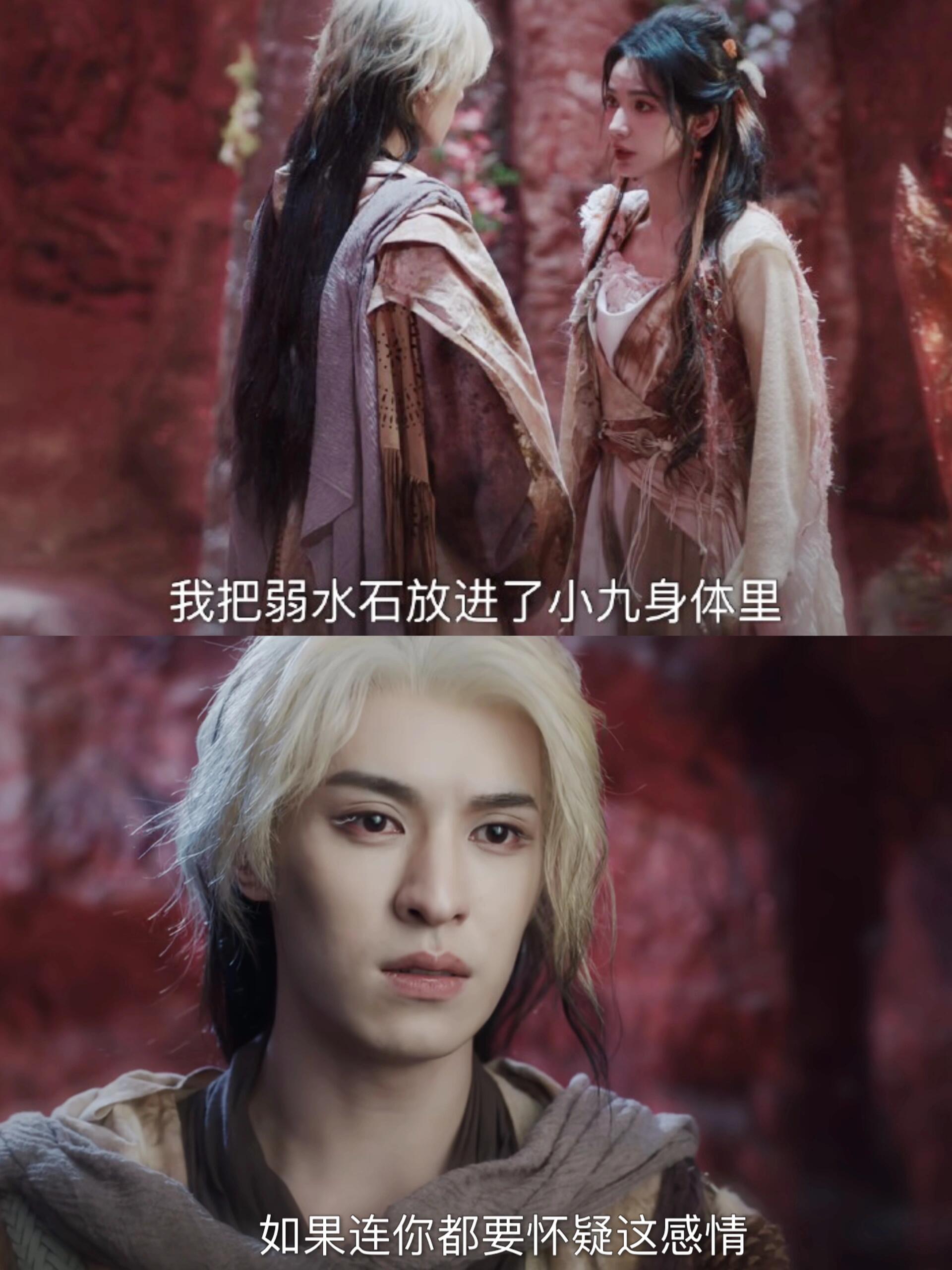 原来阿七献 祭情树,背后真相竟是这样