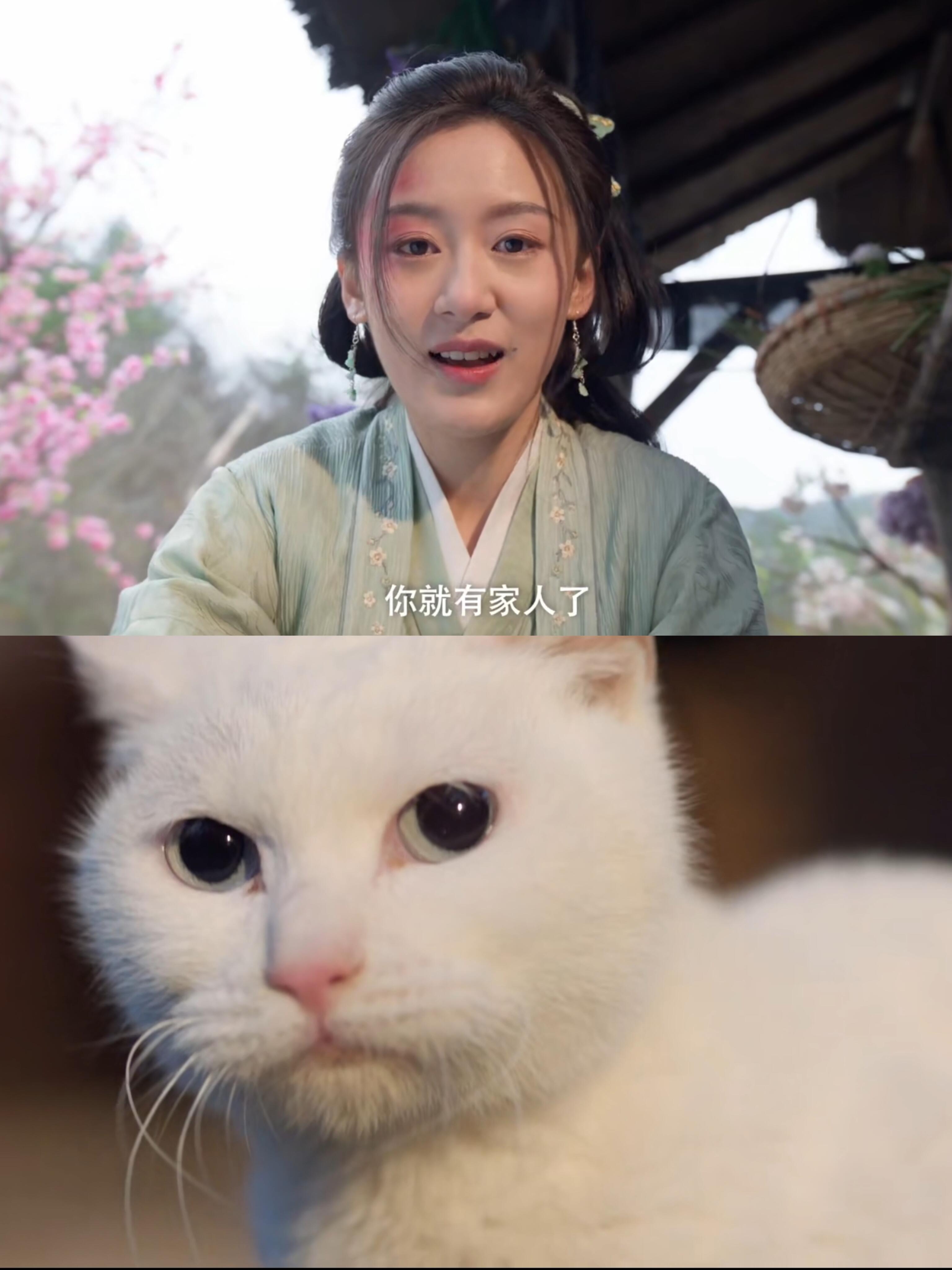 这部剧的立意真的很好!