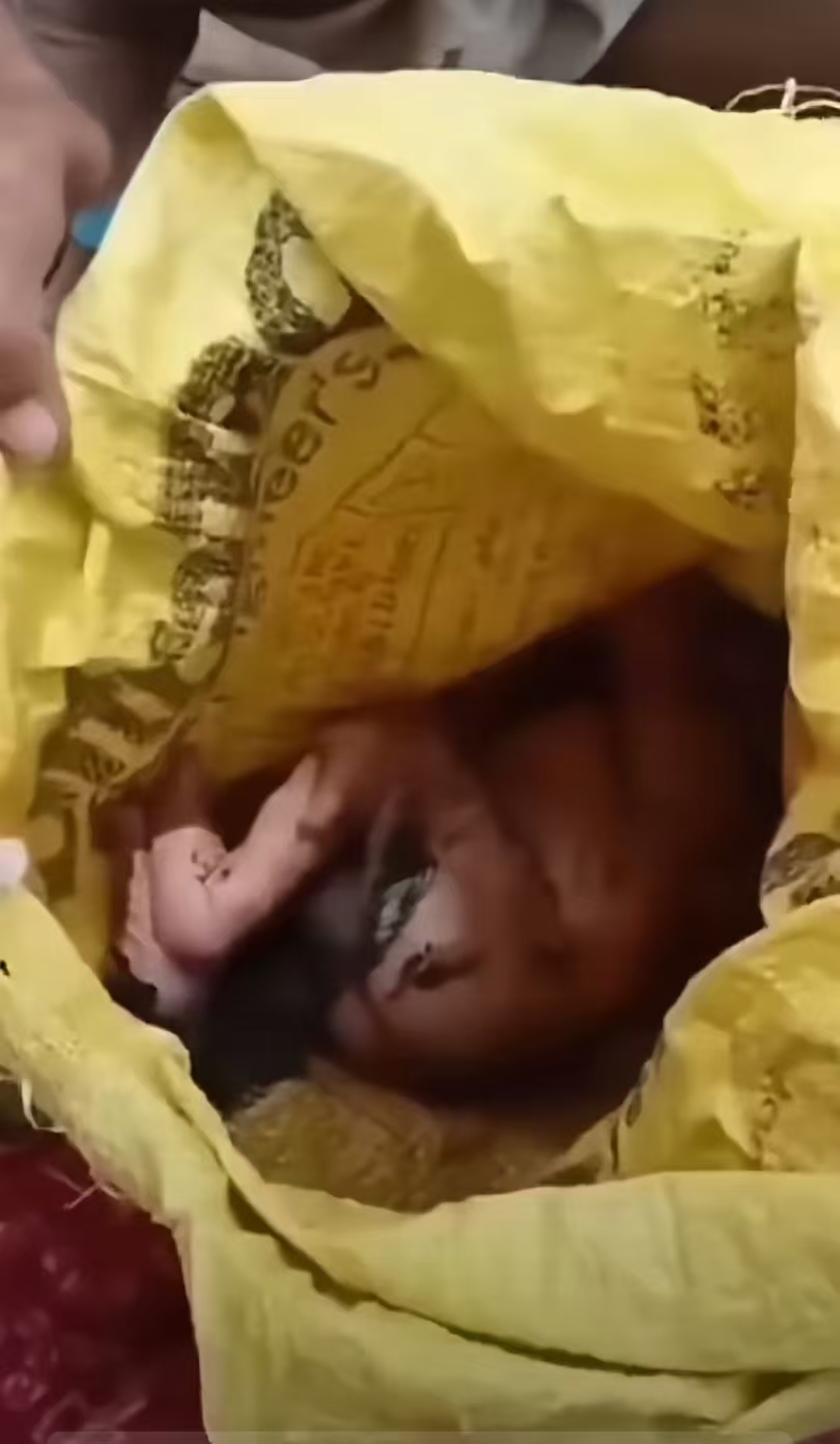 即使再不想要,也要让小孩干干净净,穿点衣服啊,这父母怎么这么狠啊!