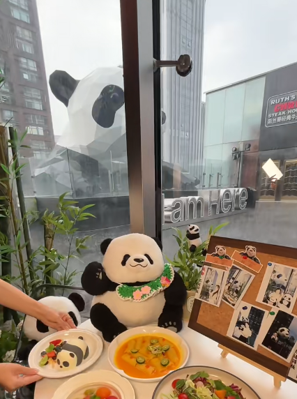 春熙路拍熊猫的超绝位置被我找到啦!#一起打卡成都ifs