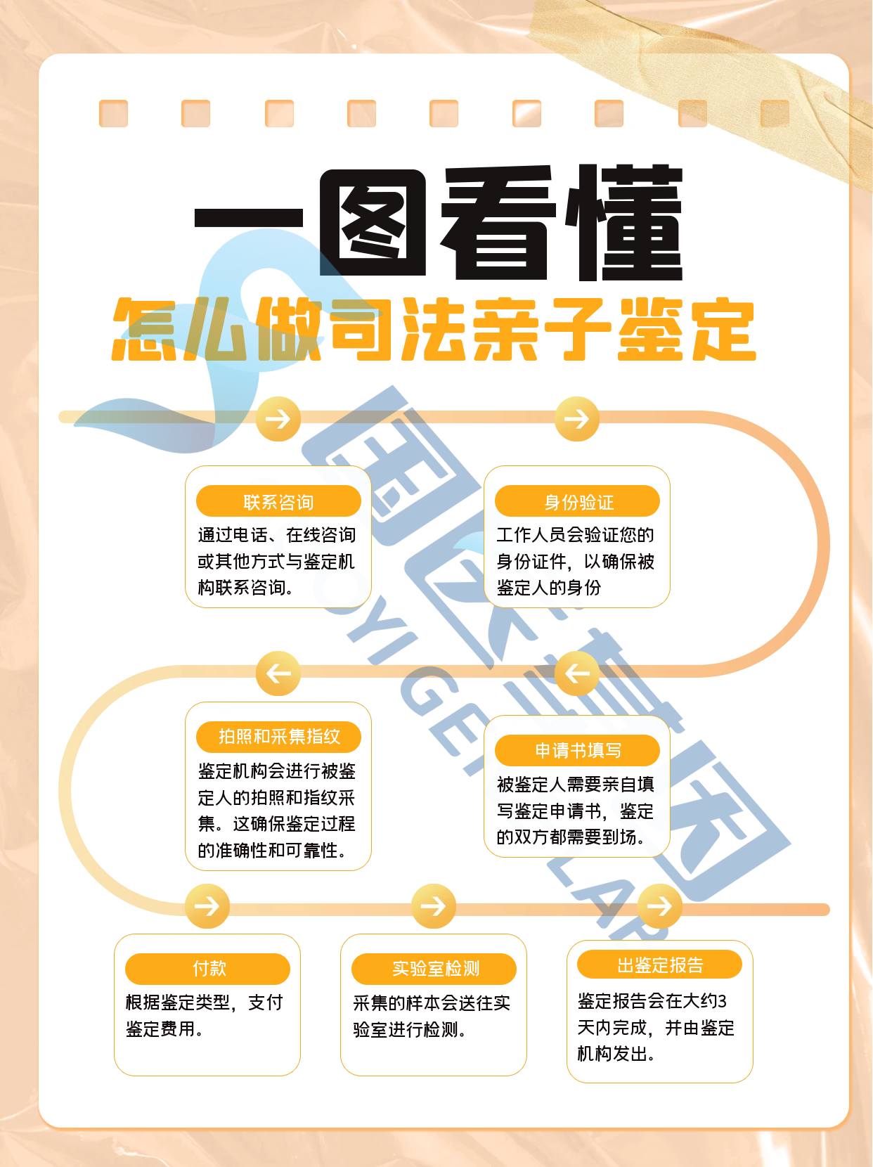 亲子鉴定验什么最准确
