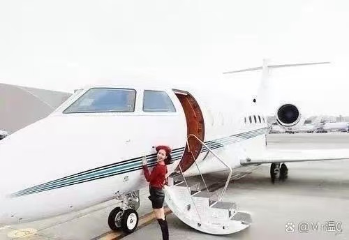 我国拥有私人飞机的人一览: 1,林青霞,飞机3
