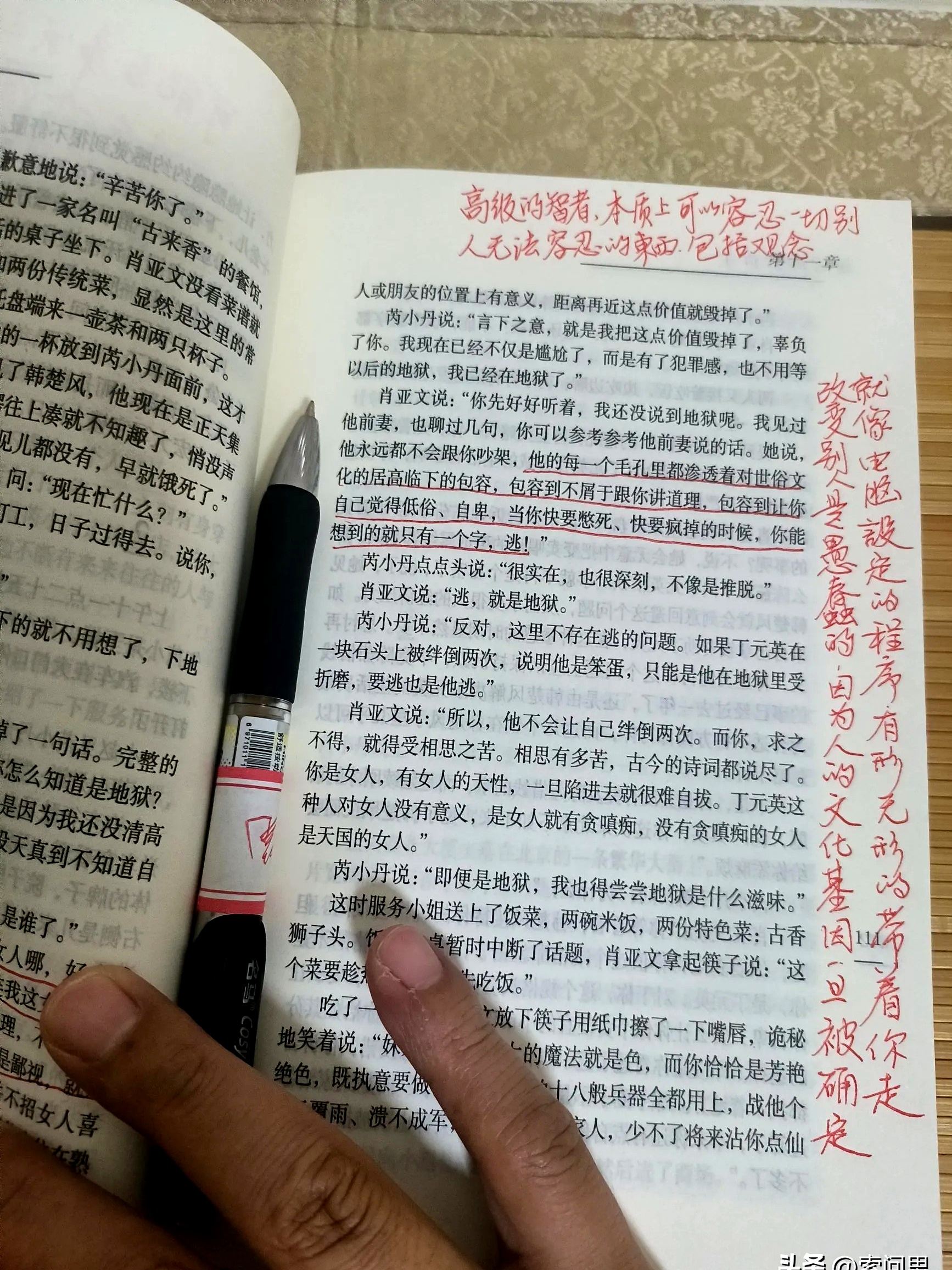 面对丁元英和韩楚风她明白依附无法带来真正的救赎