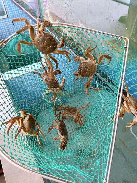 阳澄湖哪里能买到正宗的蟹 阳澄湖在哪里买大闸蟹比较