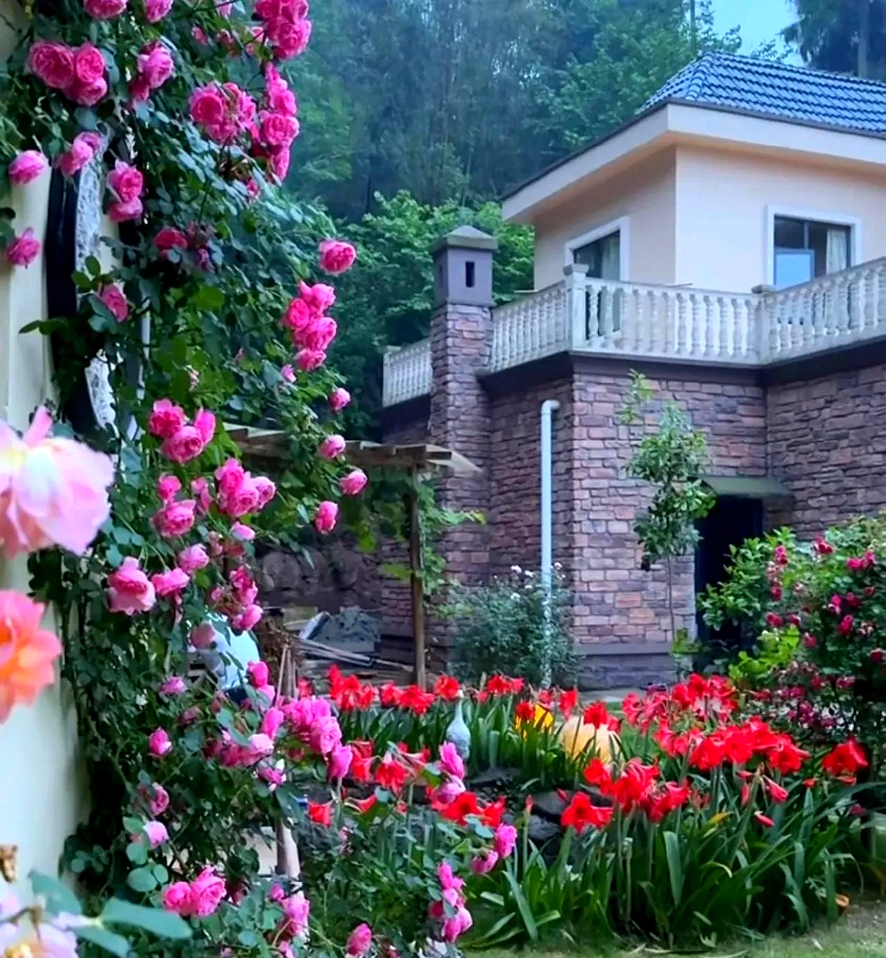 孩子她爸是她学校的师兄,比她大两岁,已经工作了