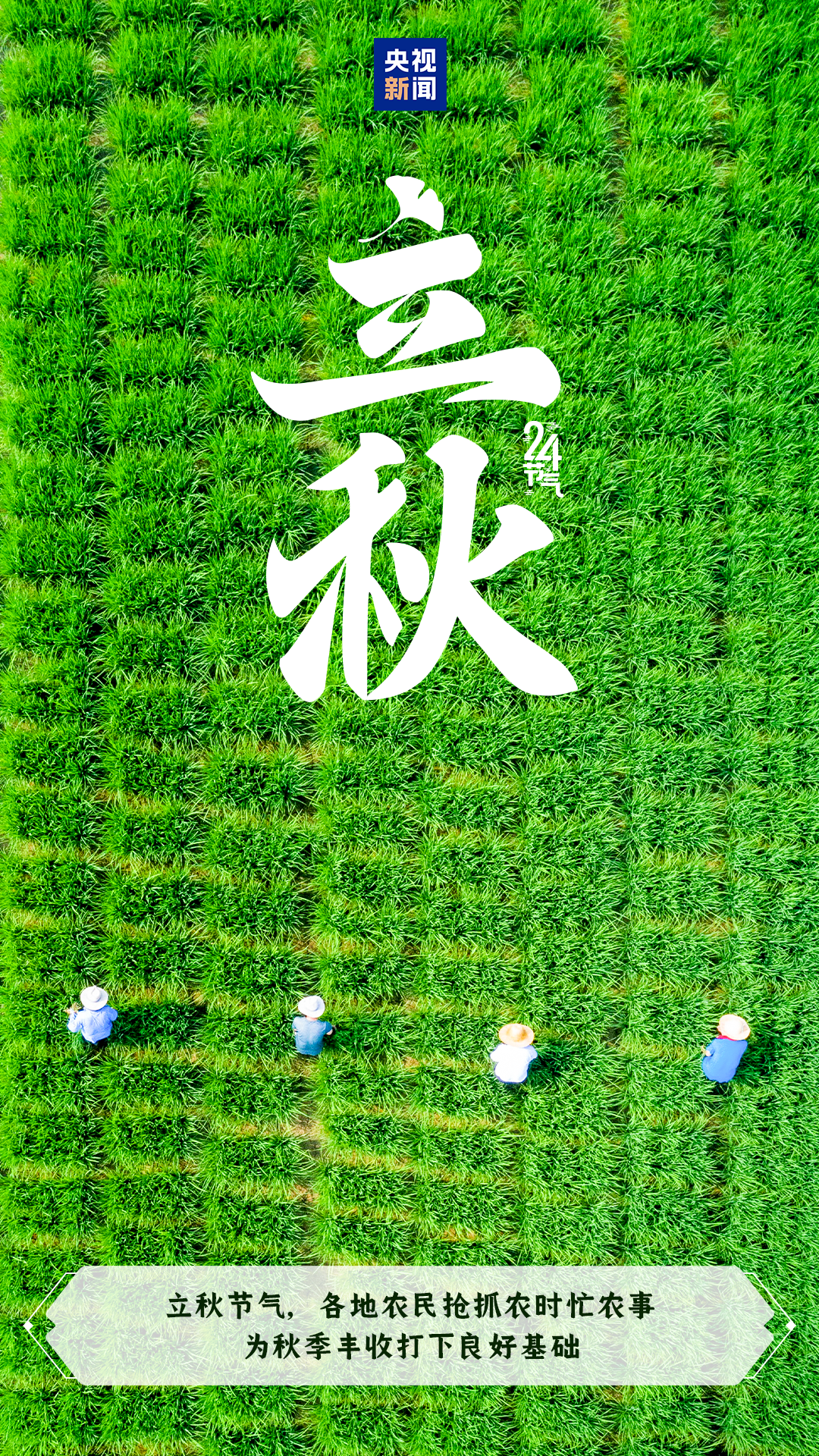 082025立秋照片风景图片