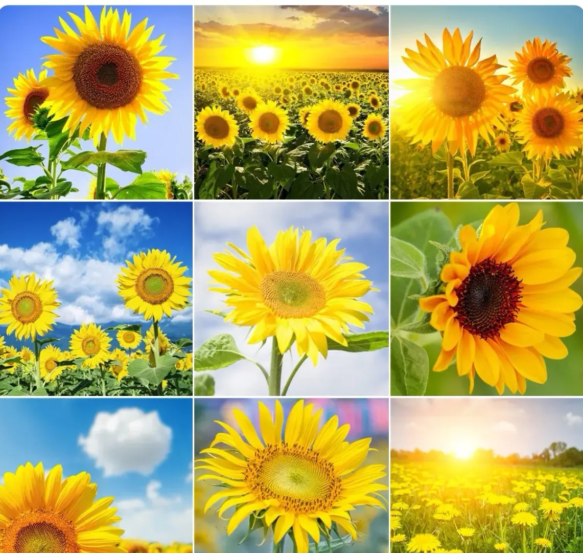 在大冰直播间,有个女孩和他连线,大冰一算,让她换