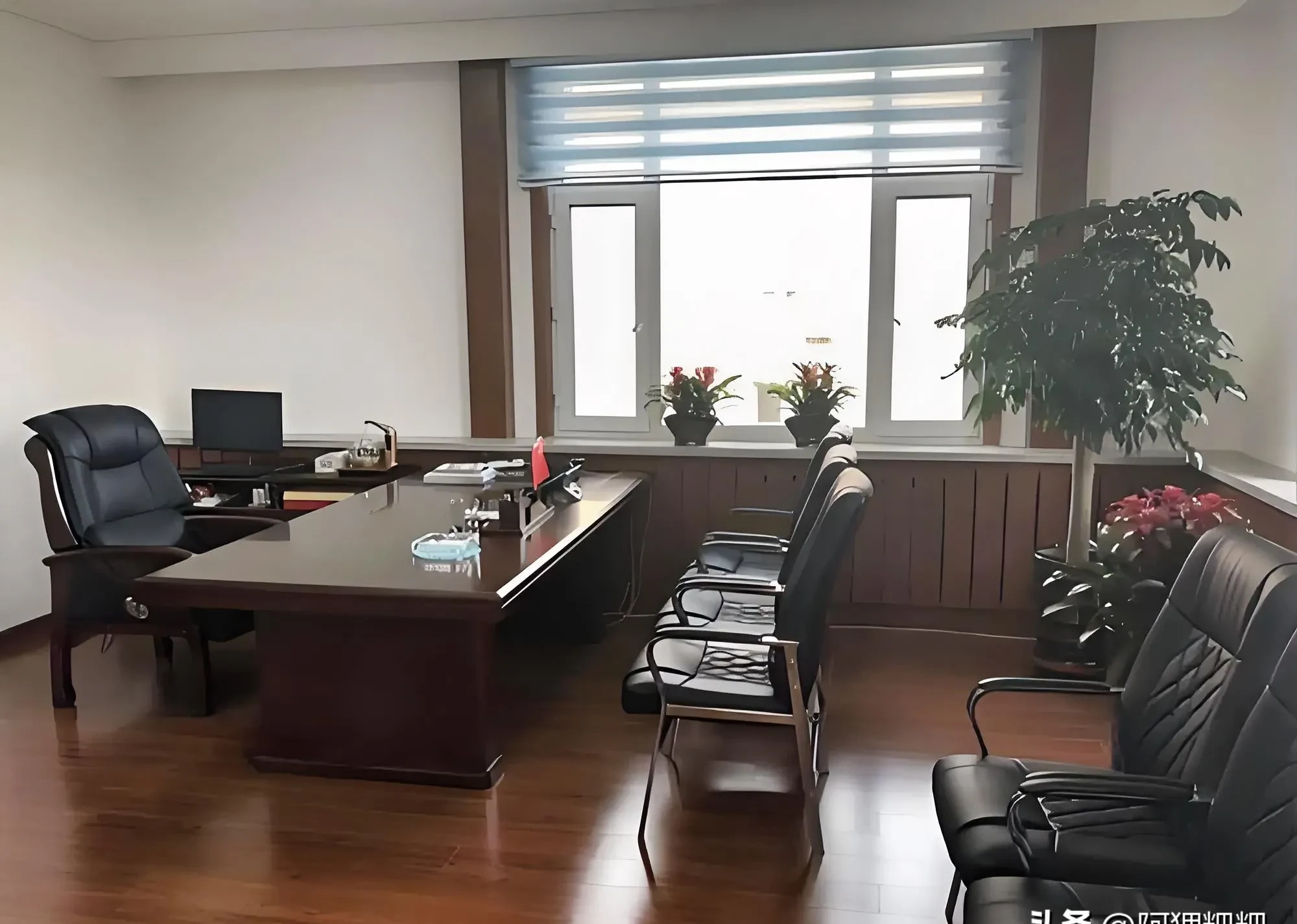 副县长在县城里基本上已经是顶级人物,对大多数人来