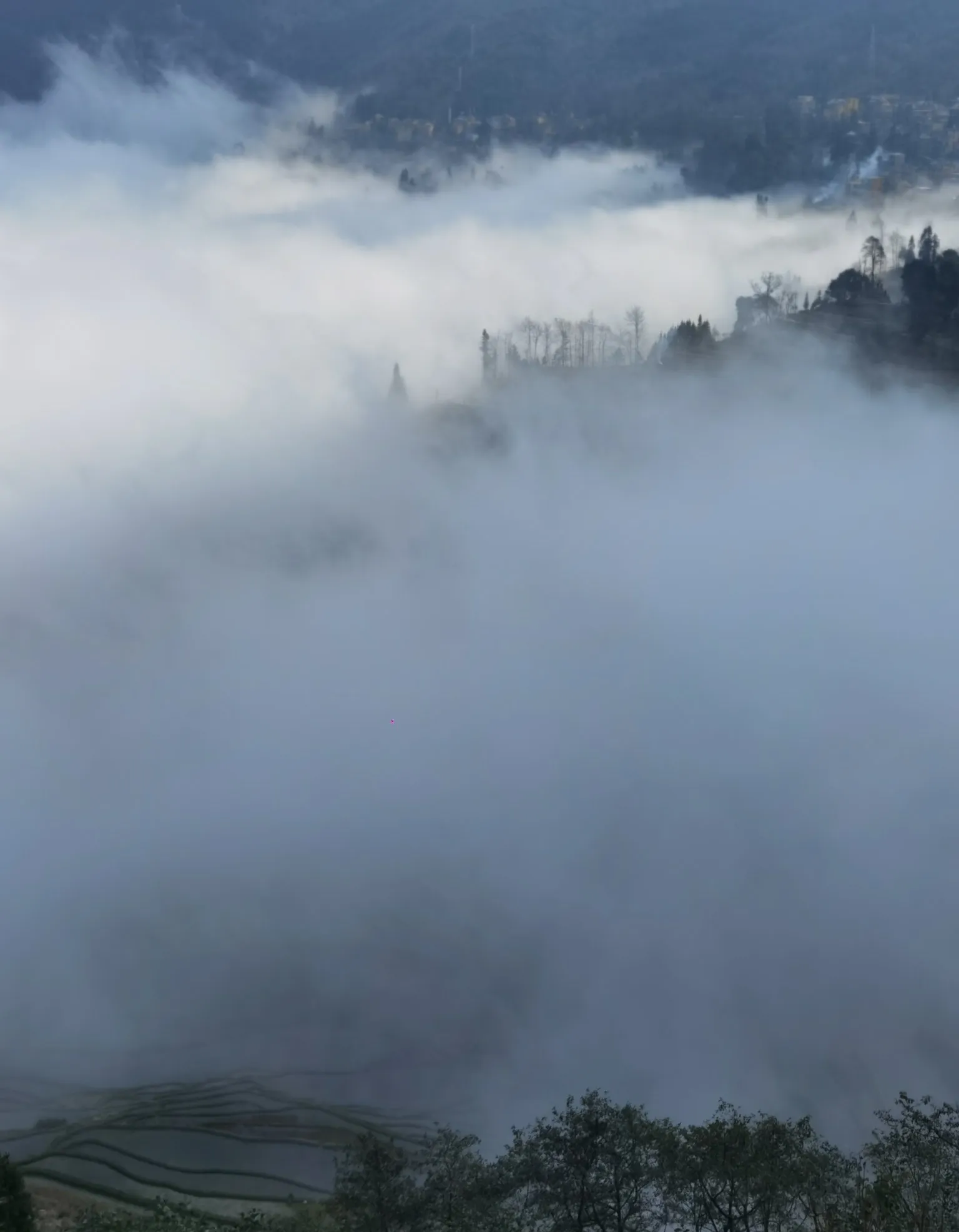 元阳县天气预报