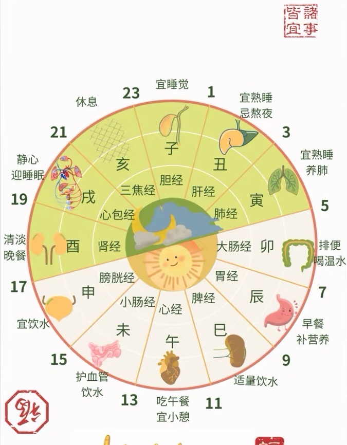 偷学黄帝内经24小时充电表